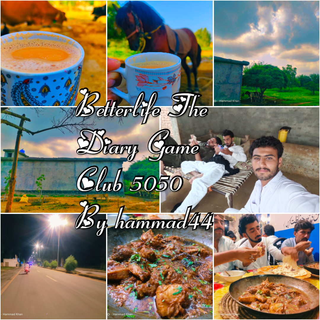 photogrid.collagemaker.photocollage.squarefit_2022825746074.png