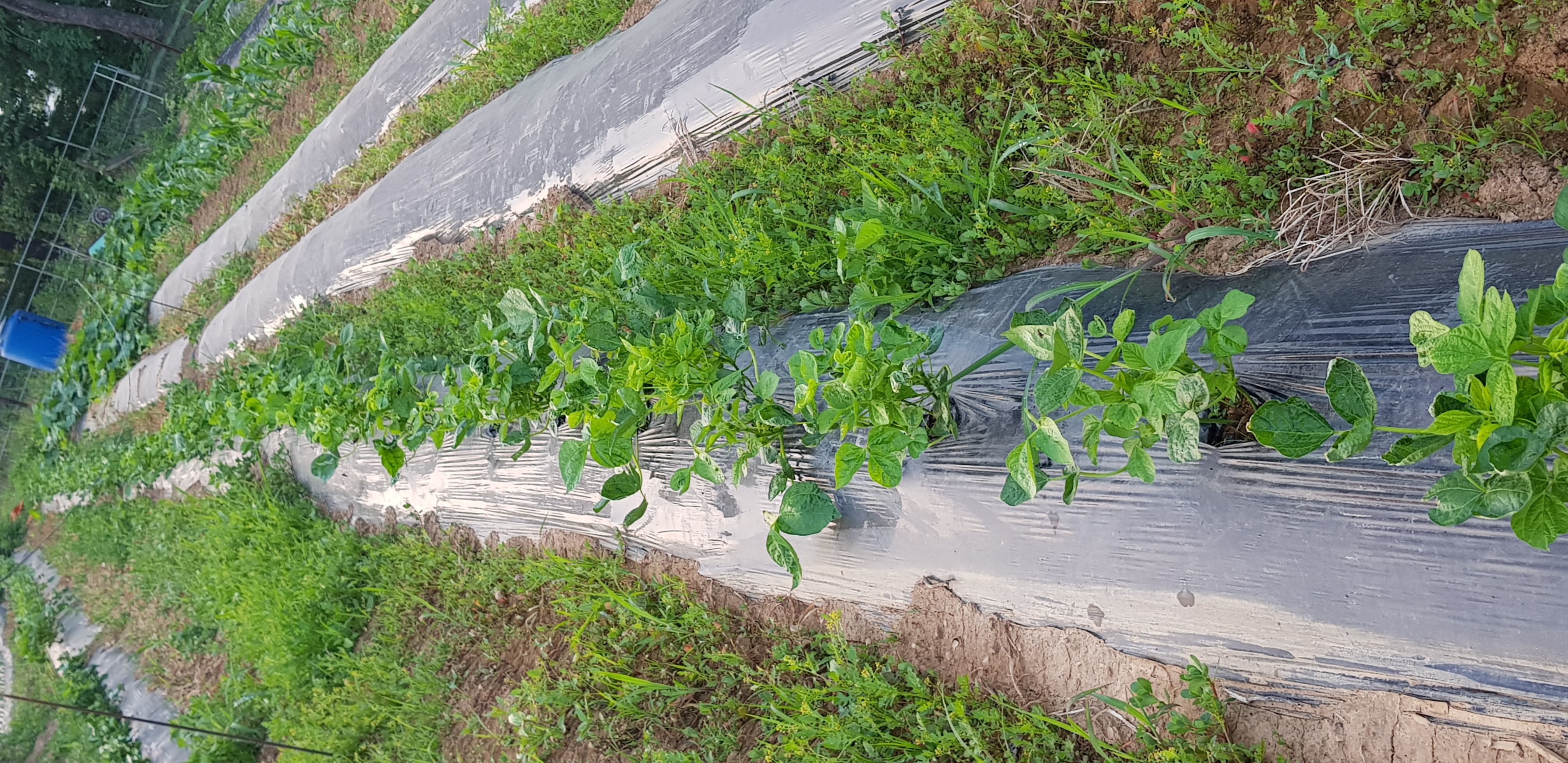 20190619_020507.jpg