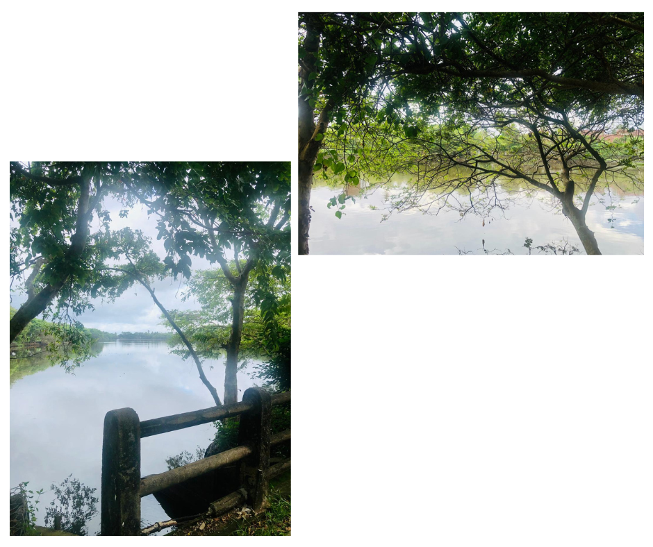 Untitled design (84).png