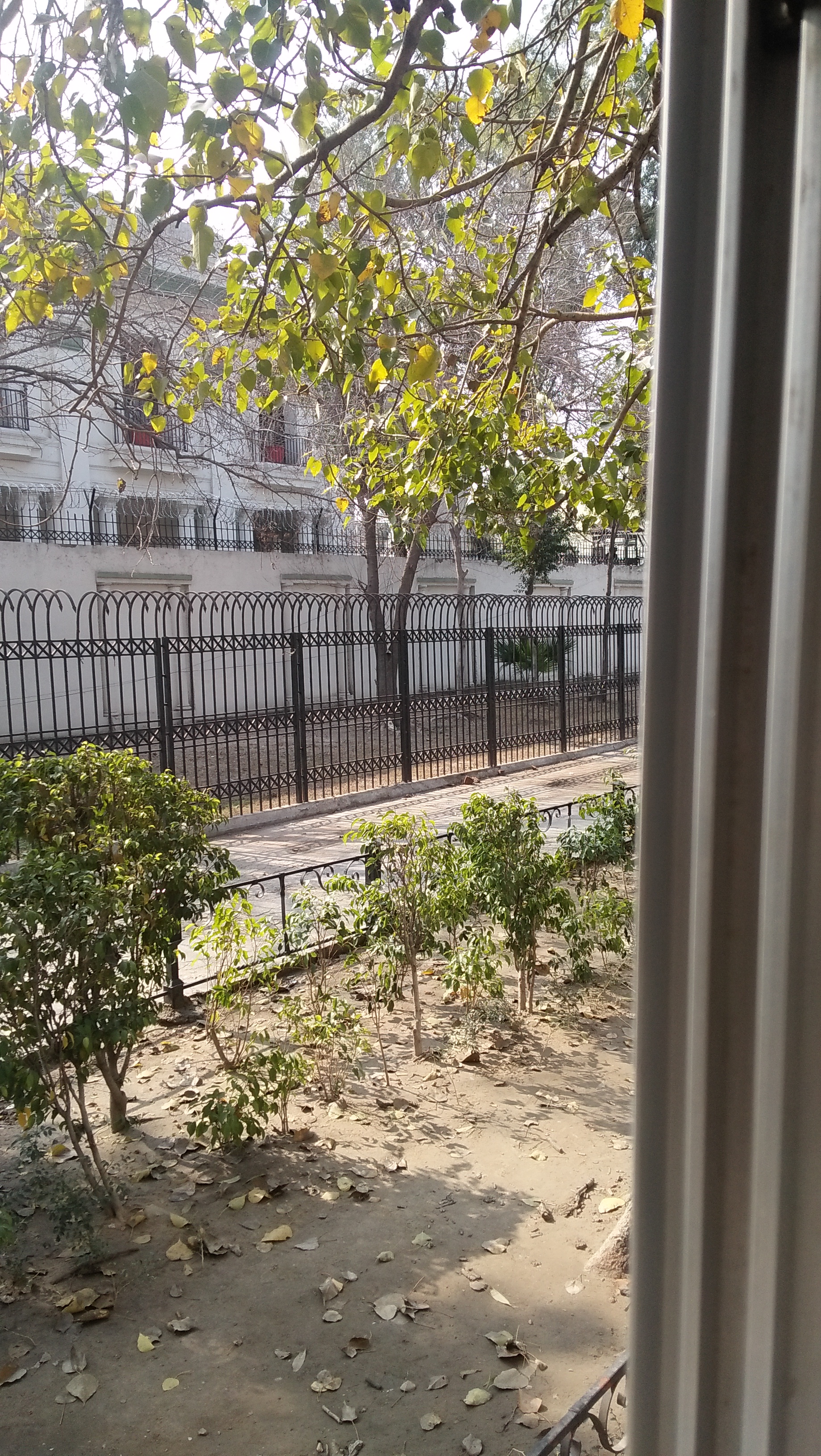 IMG20190216135007.jpg