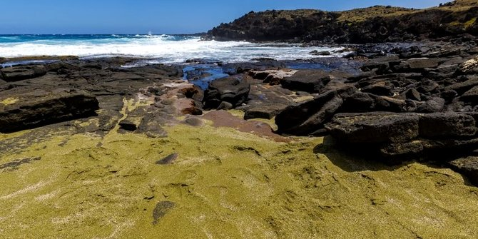 Yellow Sand Beach 