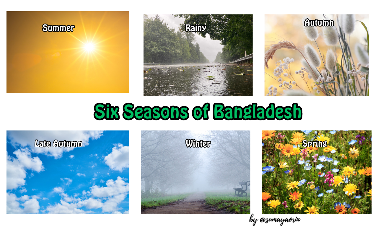 Six Seasons of Bangladesh.png