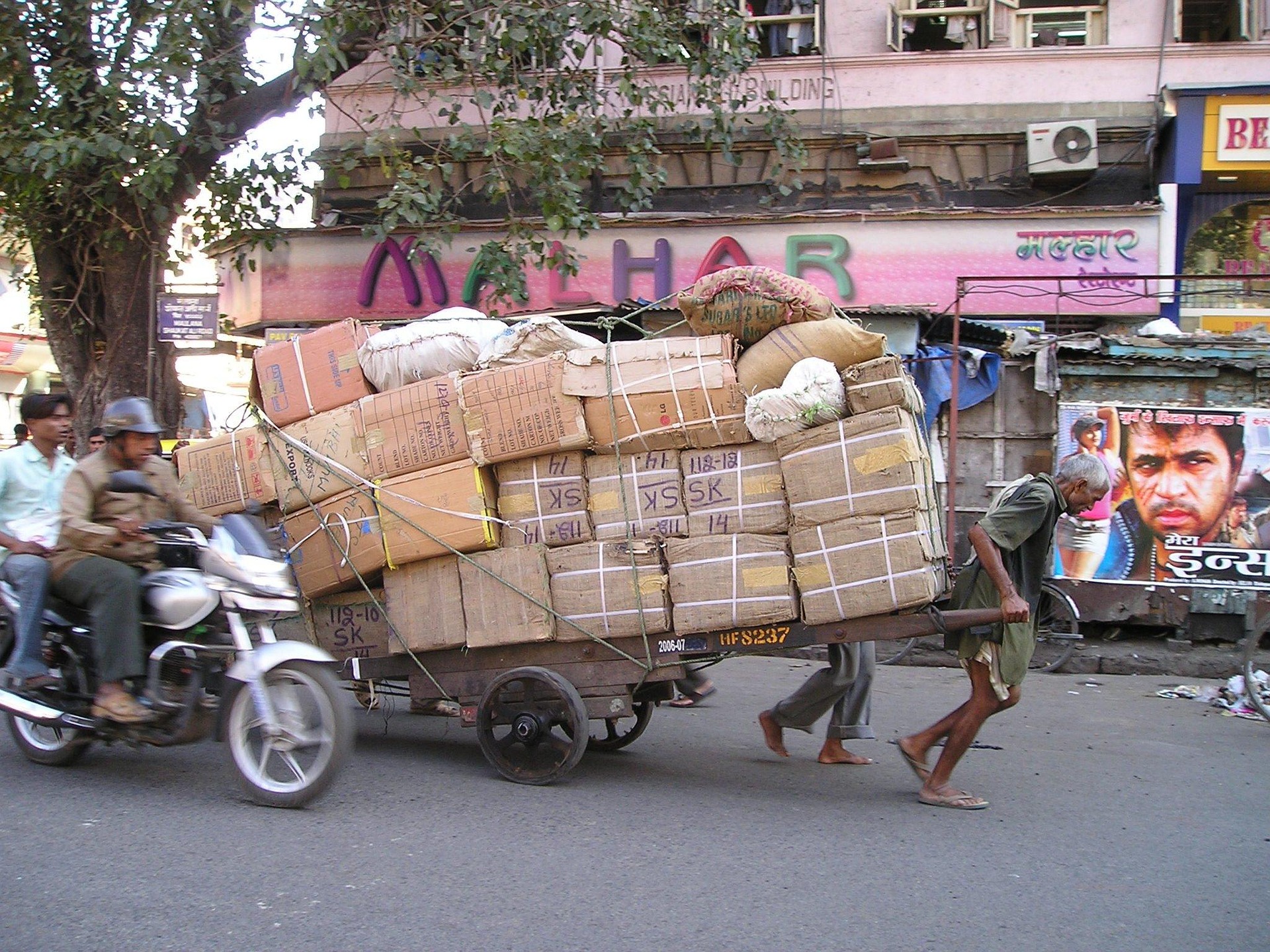 simon-india-293_1920.jpg