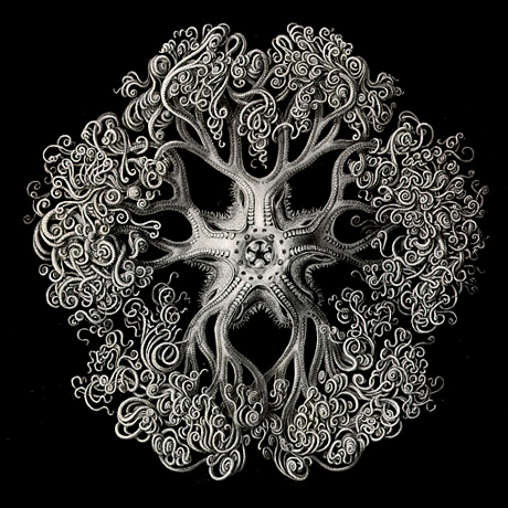 patterns10.jpg