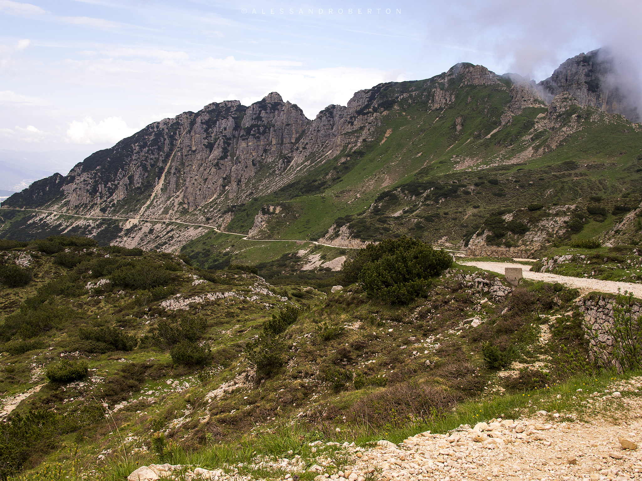 P1015367.jpg