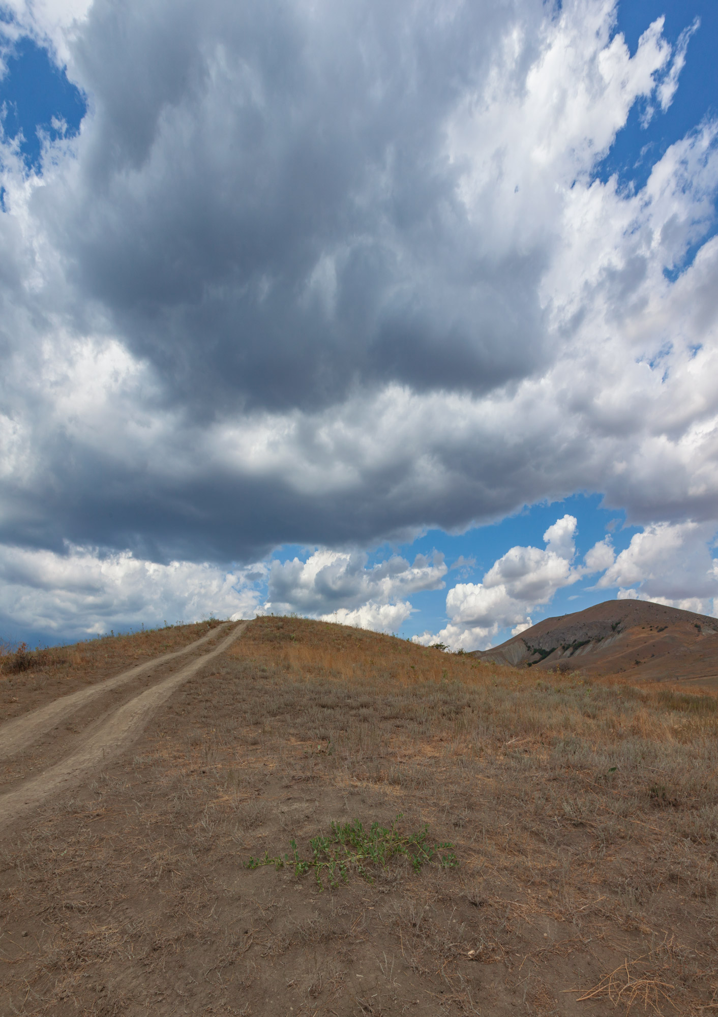 Untitled_Panorama15.jpg