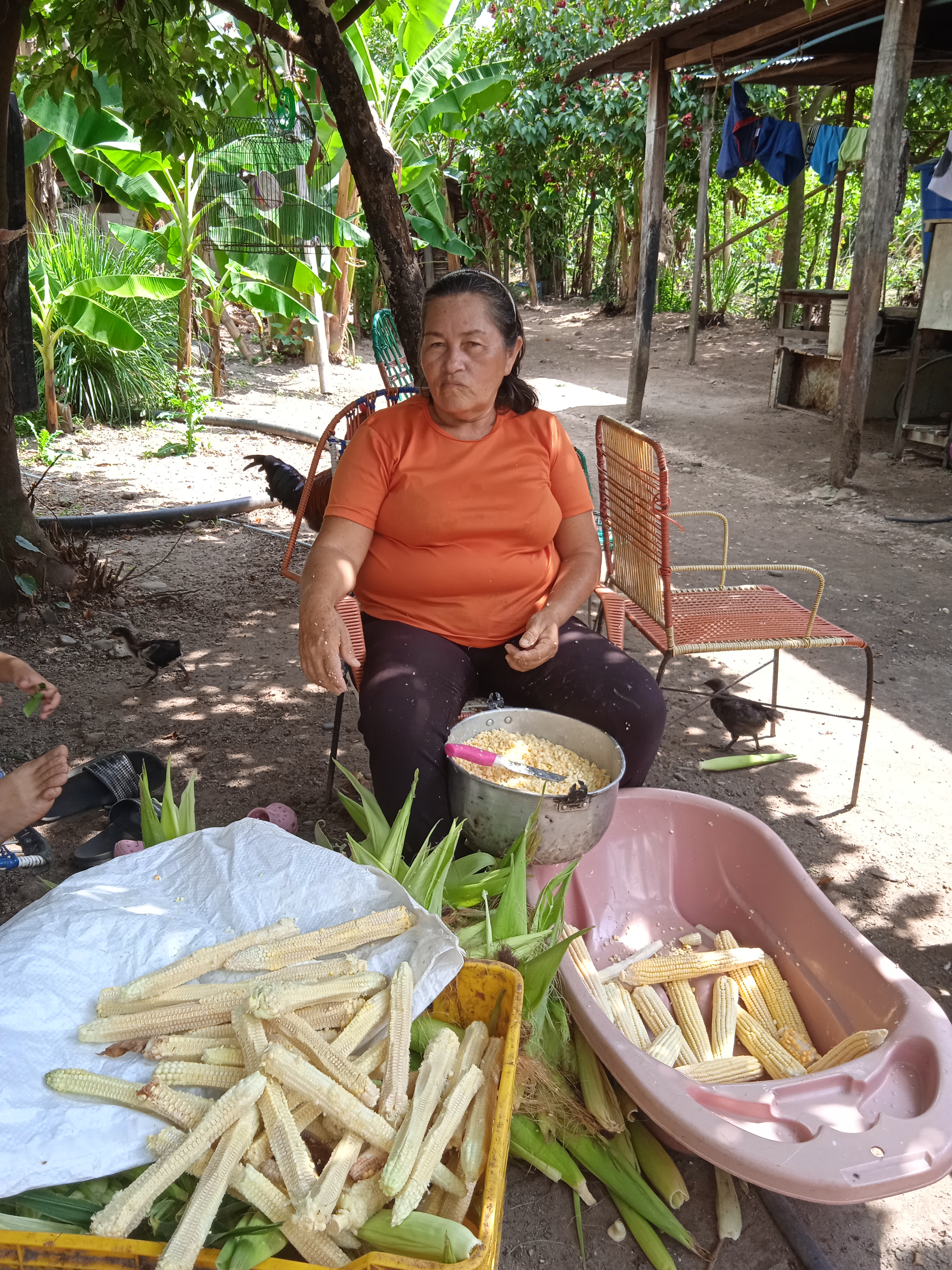 IMG_20211019_141517_1.jpg
