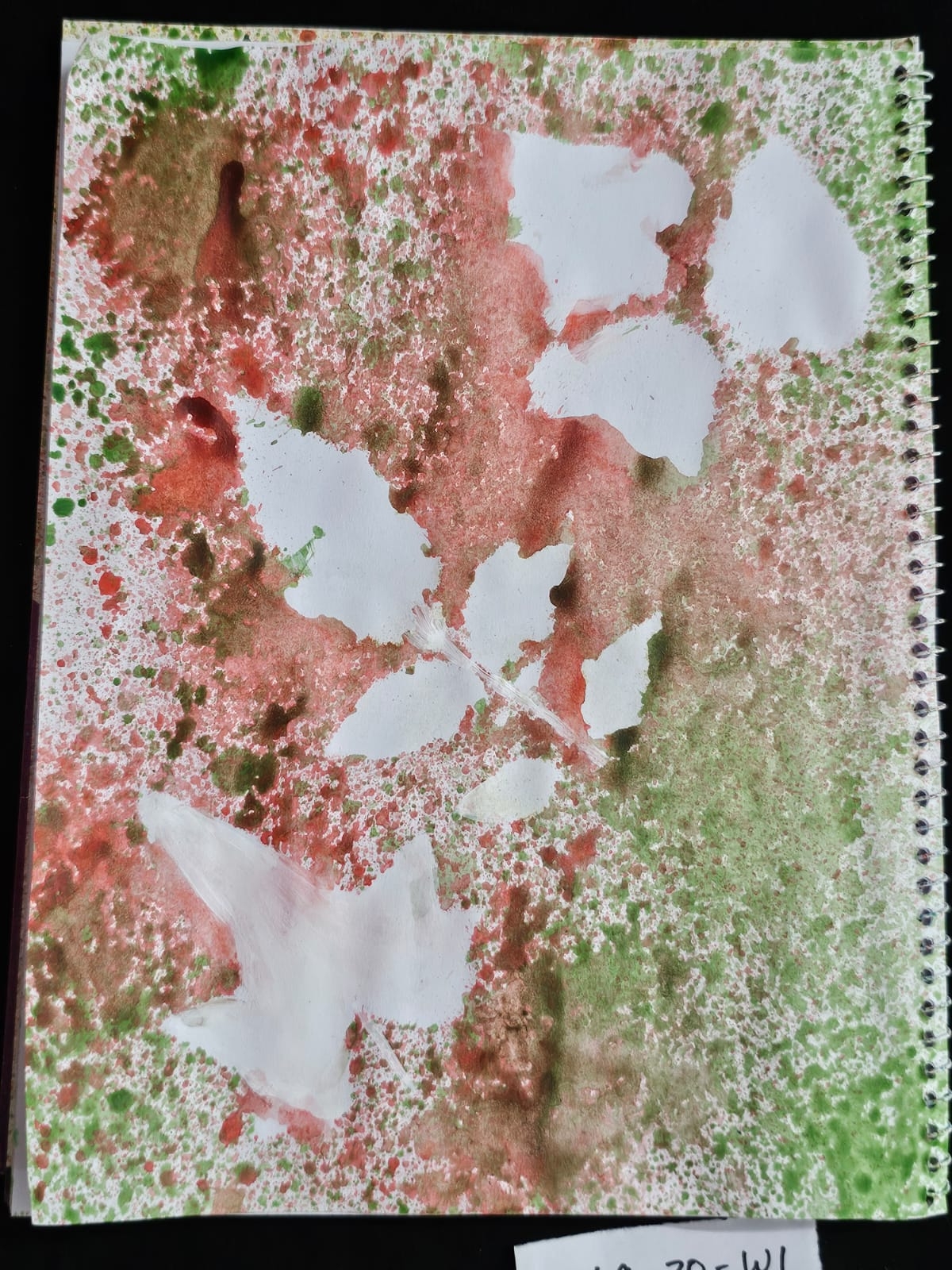 1000072372.jpg
