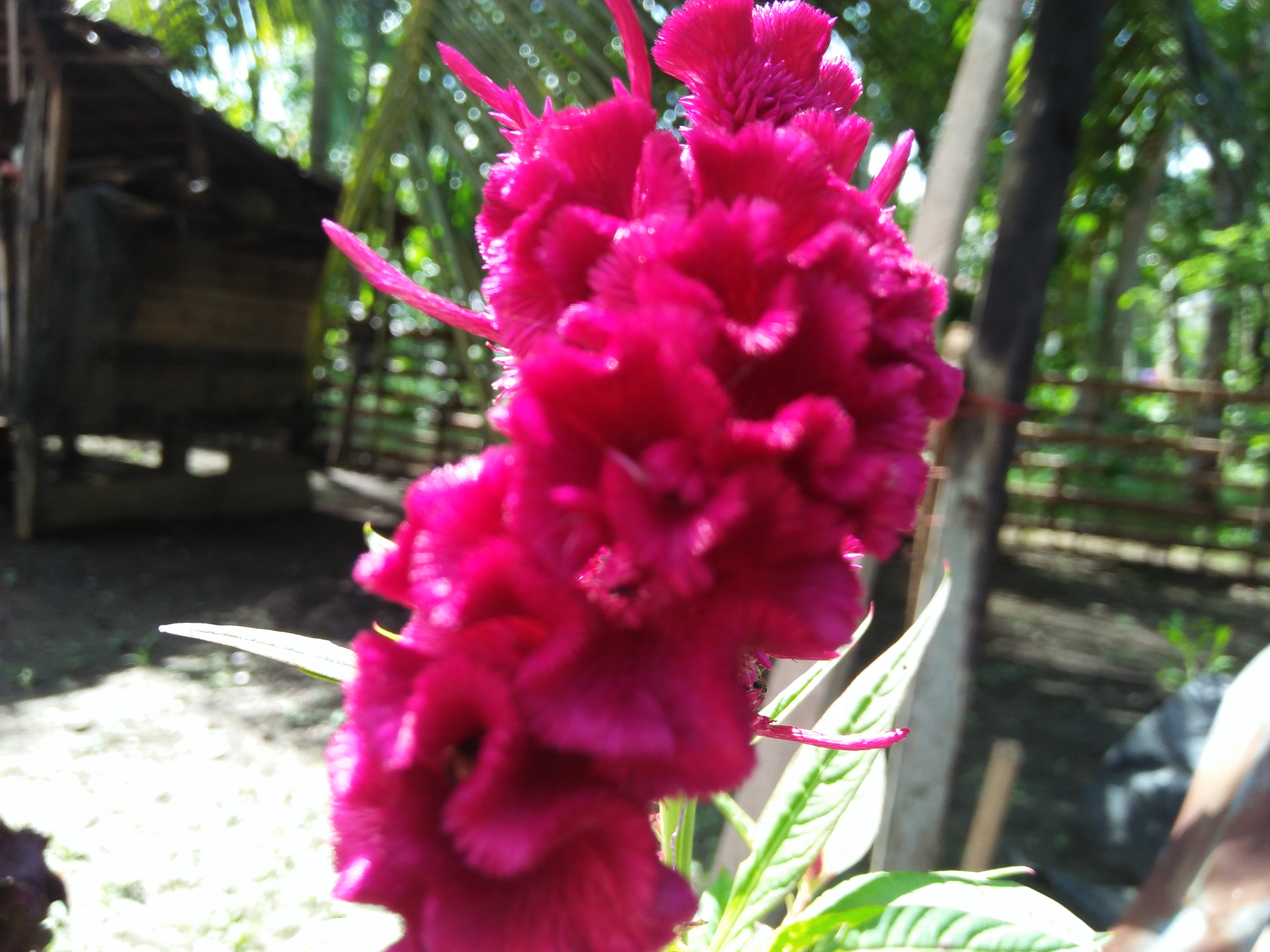 IMG20210627144137.jpg