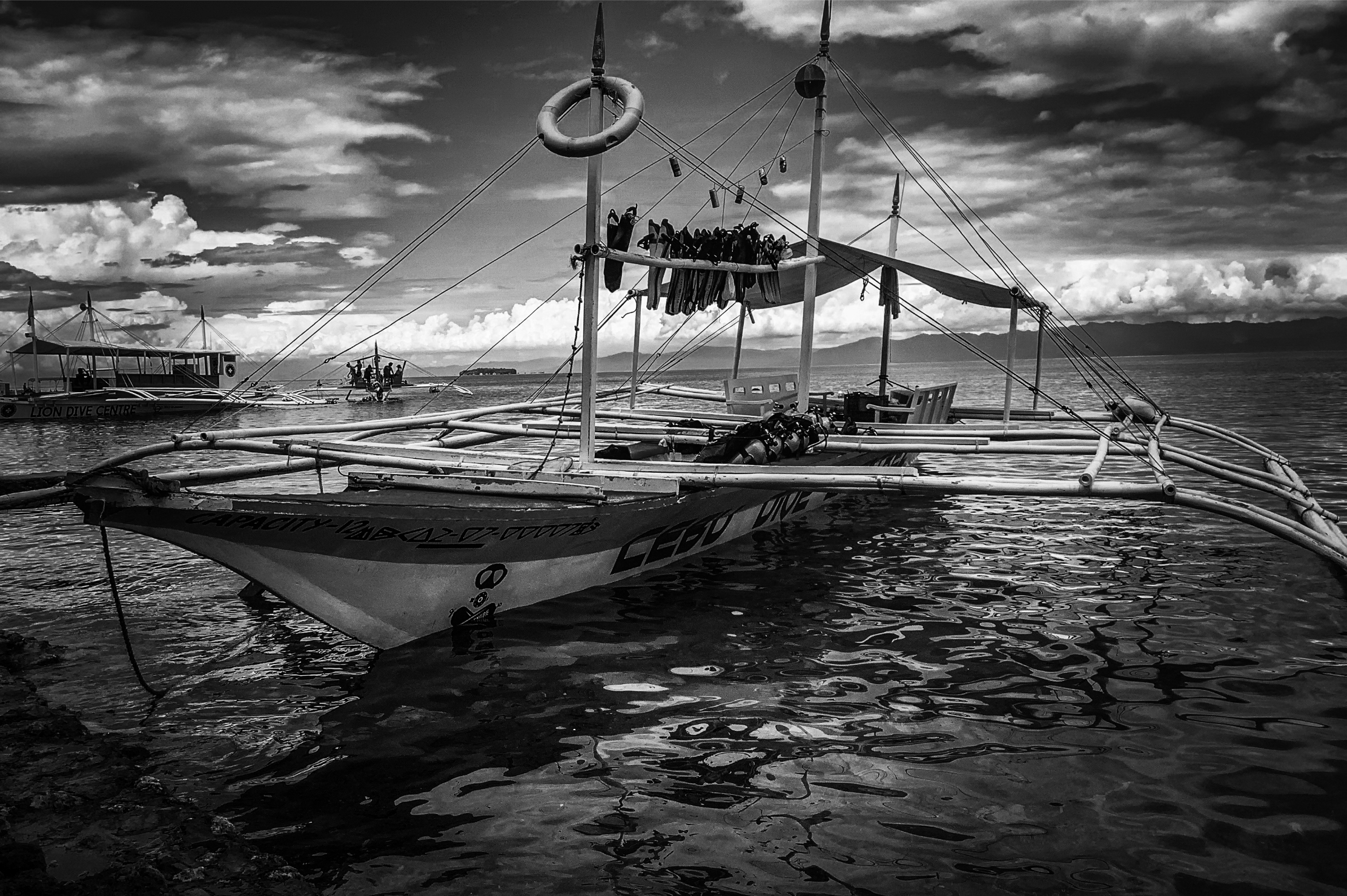 dive bw.jpg