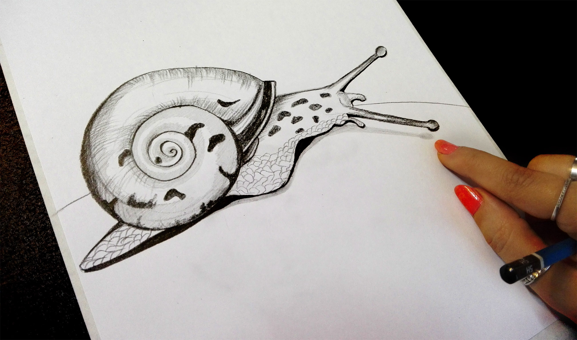 How to Draw a Snail for Kids | Snail Drawing tutorial - YouTube