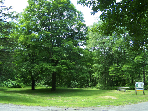 Road trip - Whitingham Dam picnic area crop July 2019.jpg