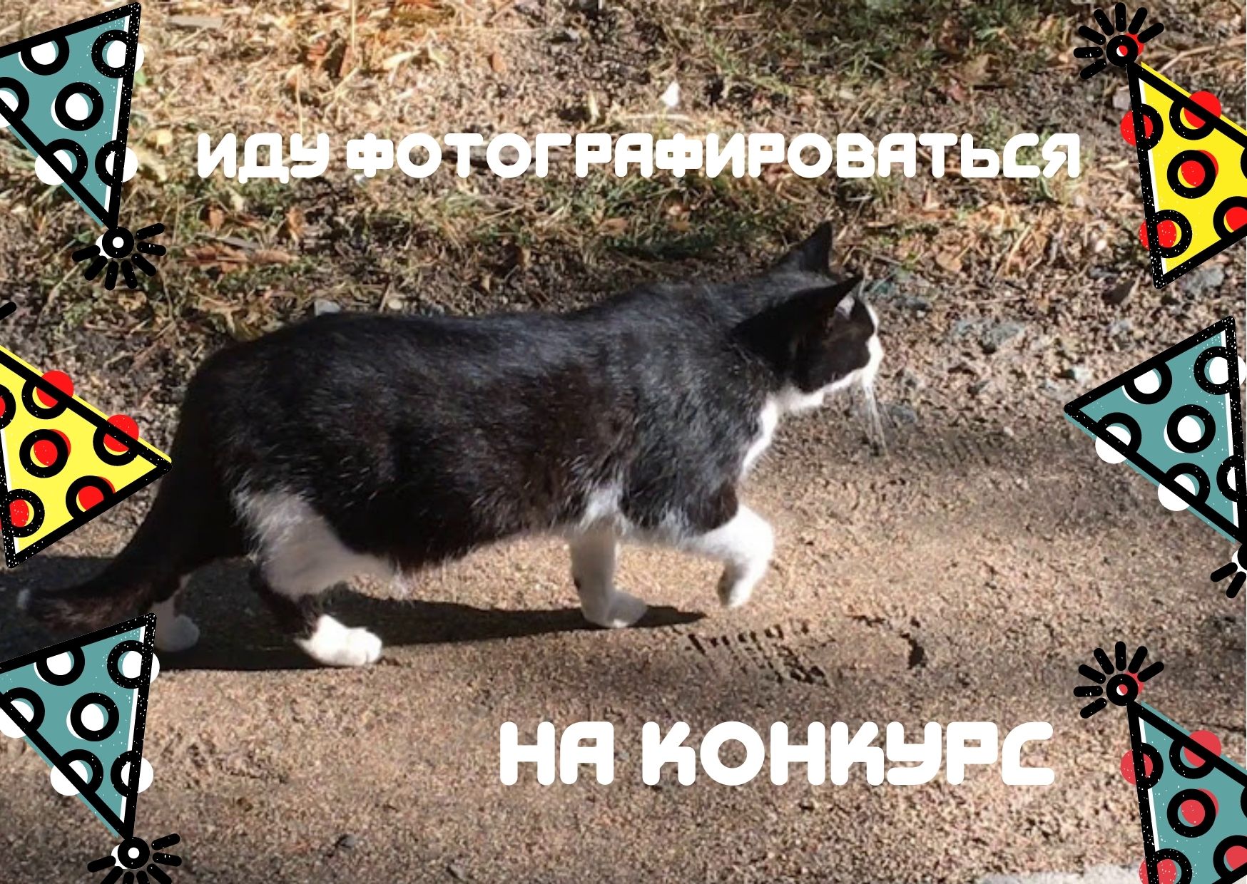 Лягушенок и грузовик! (2).jpg
