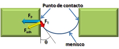 Fig%205.jpg