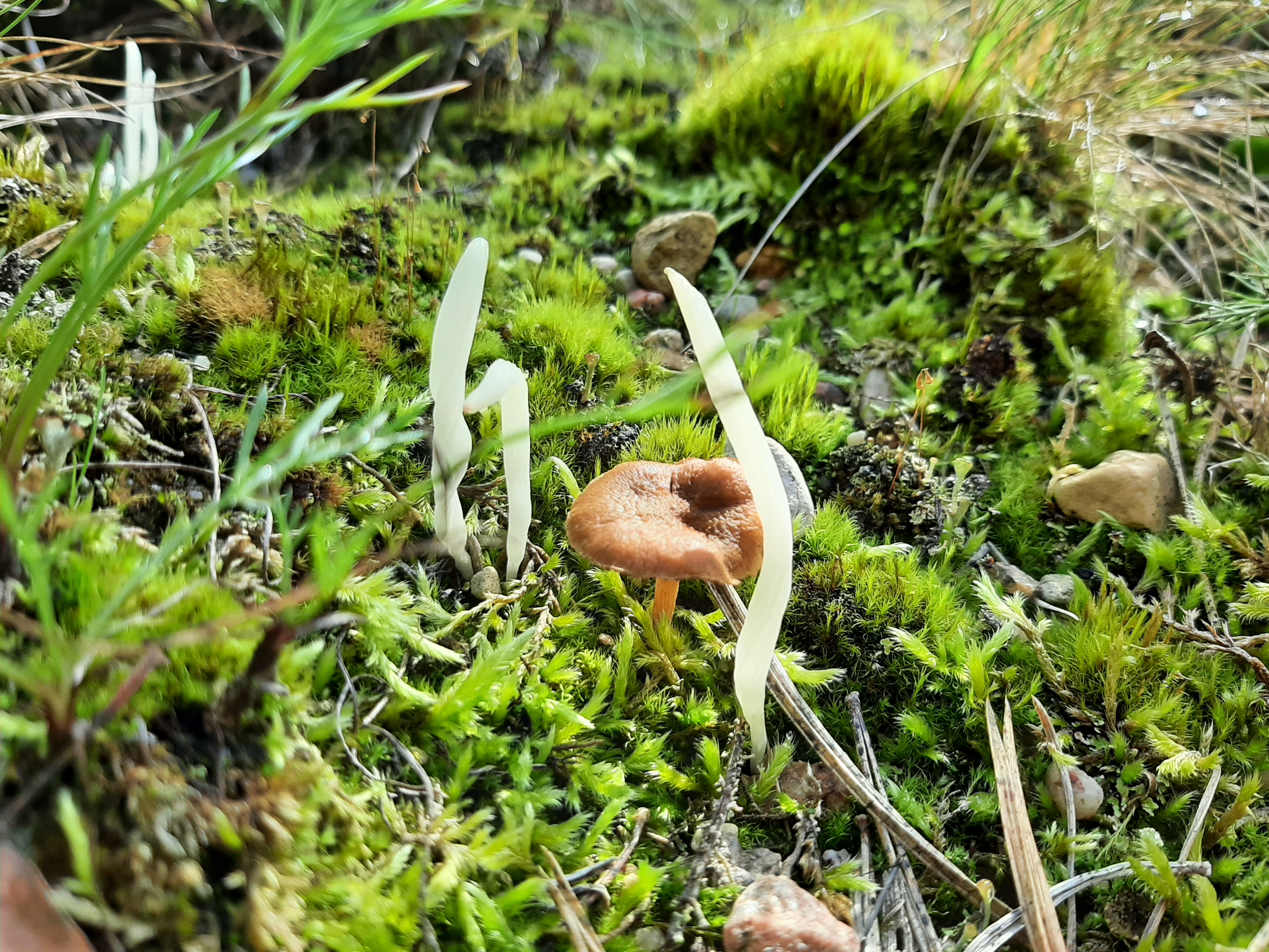 20260914_145255.jpg