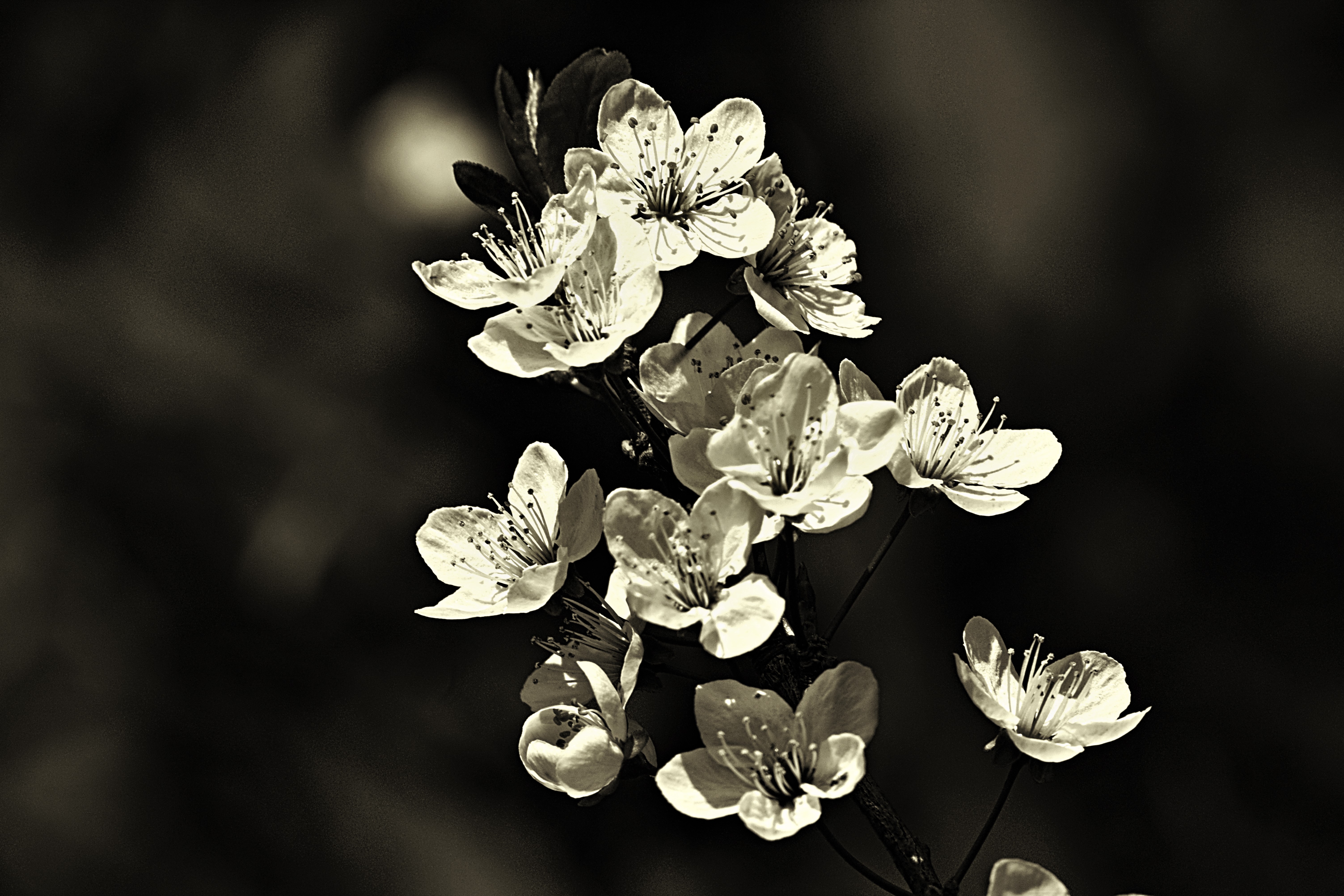 IMG_1393_InPixio (3)_InPixio.jpg