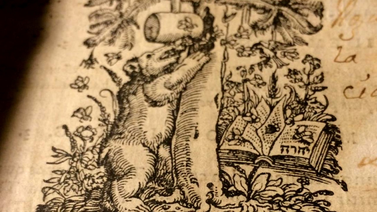 biblia-del-oso-detalle-portada.jpg