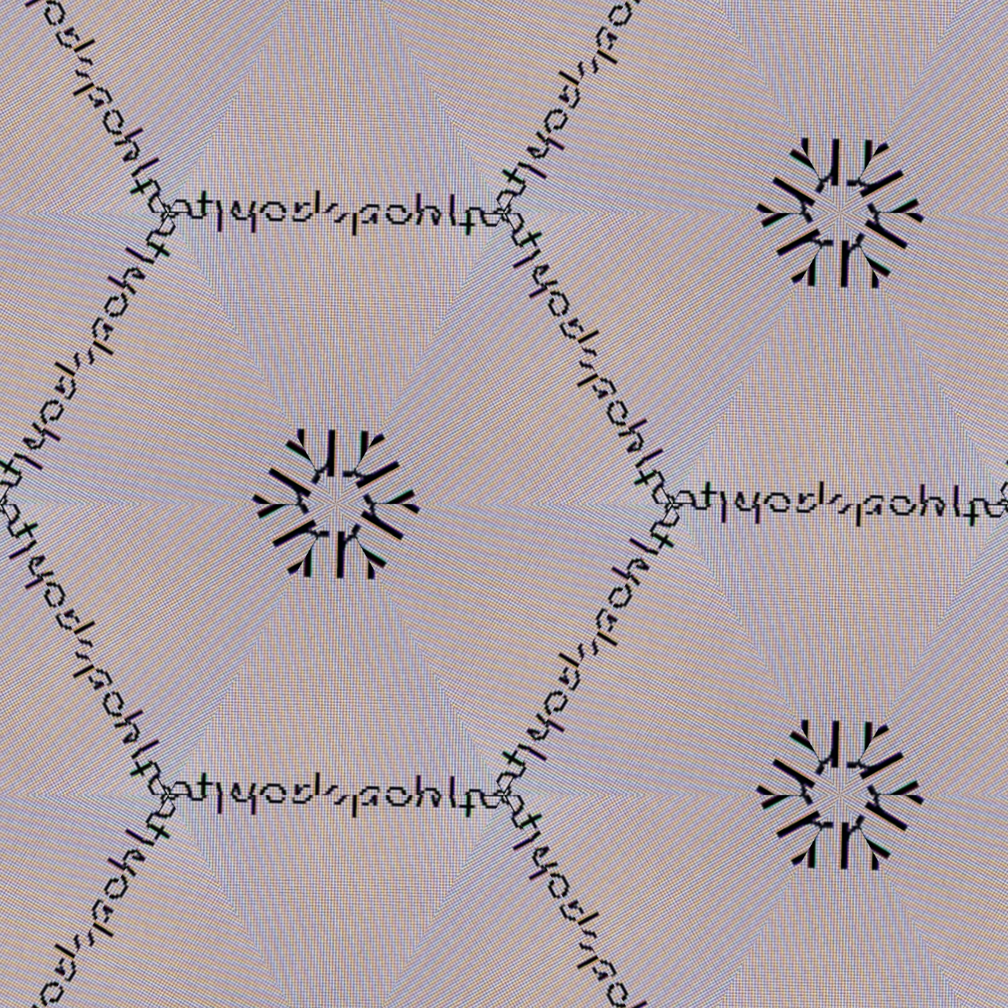 image3A8546_mirror.jpg