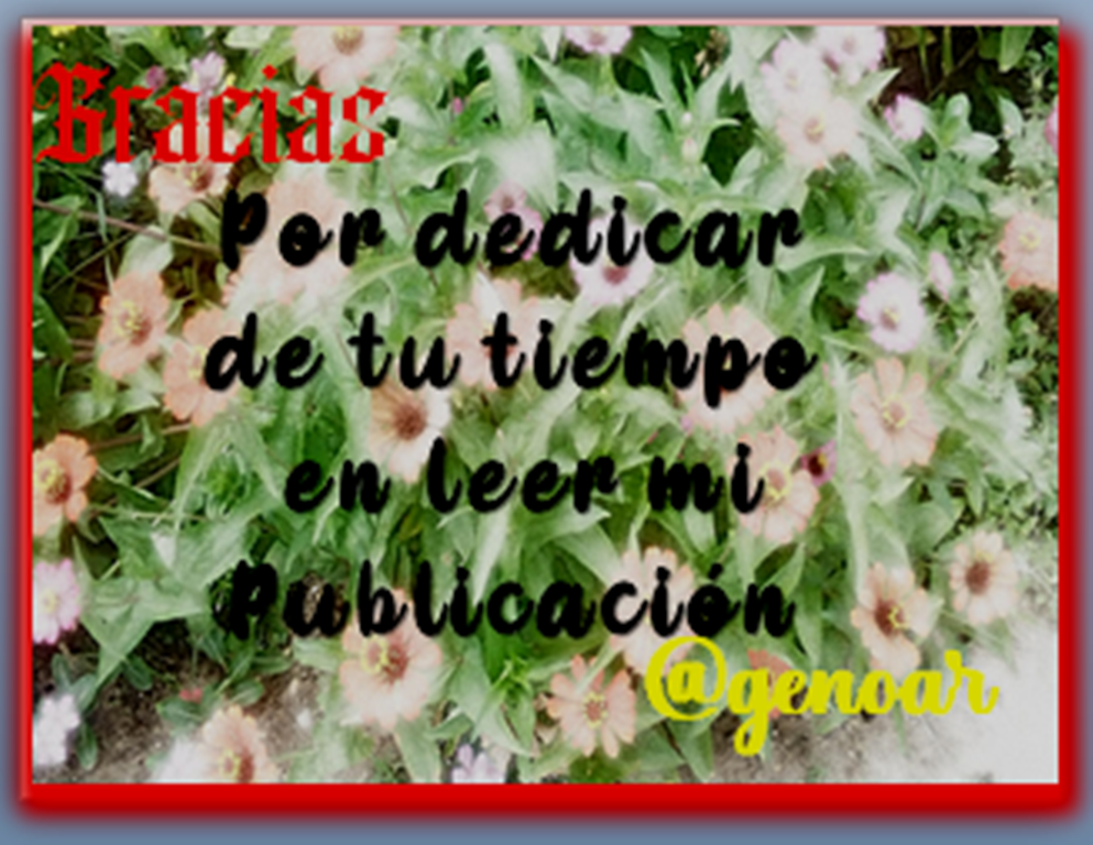 Captura gracias por leer mi publicacion.png