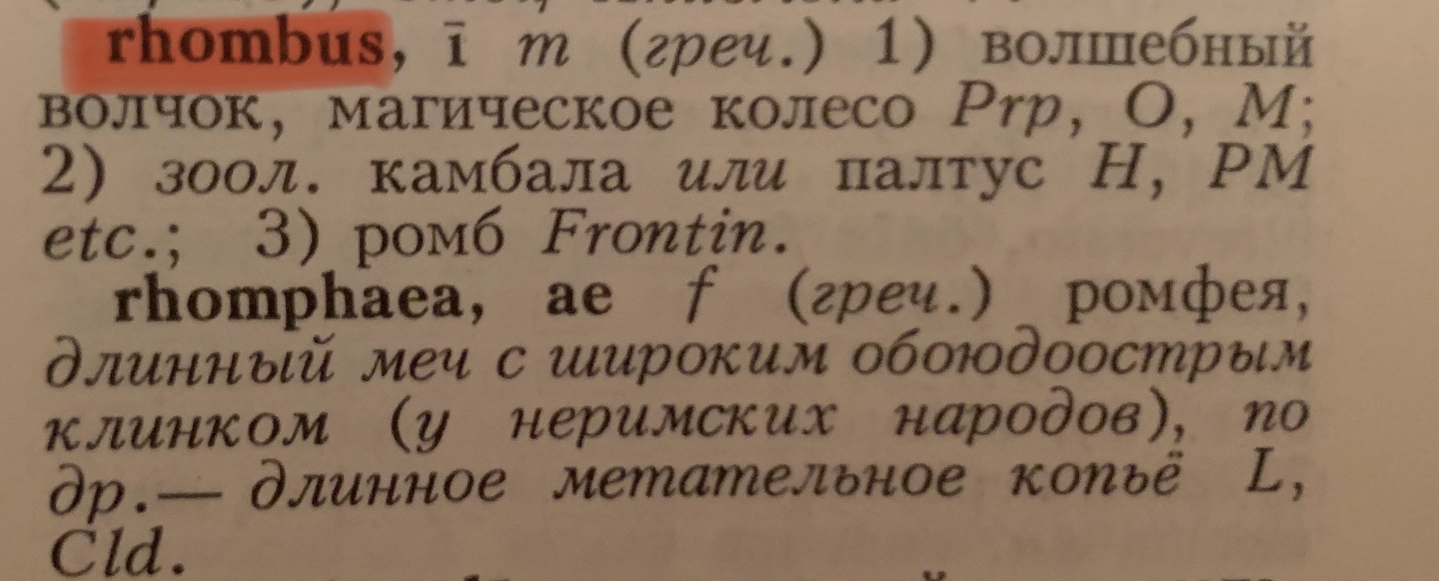 IMG_7652.jpeg