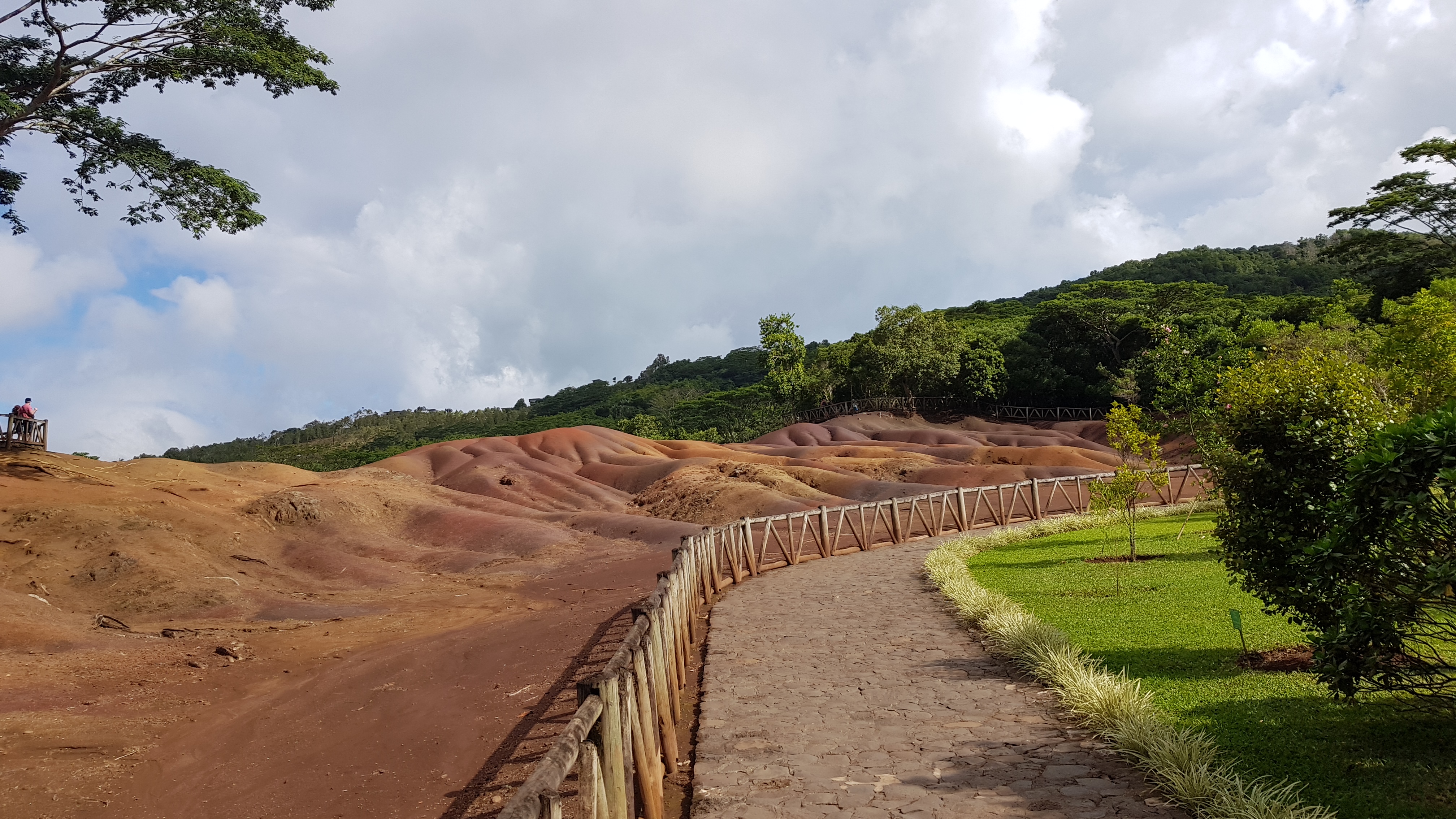 20180623_102102.jpg