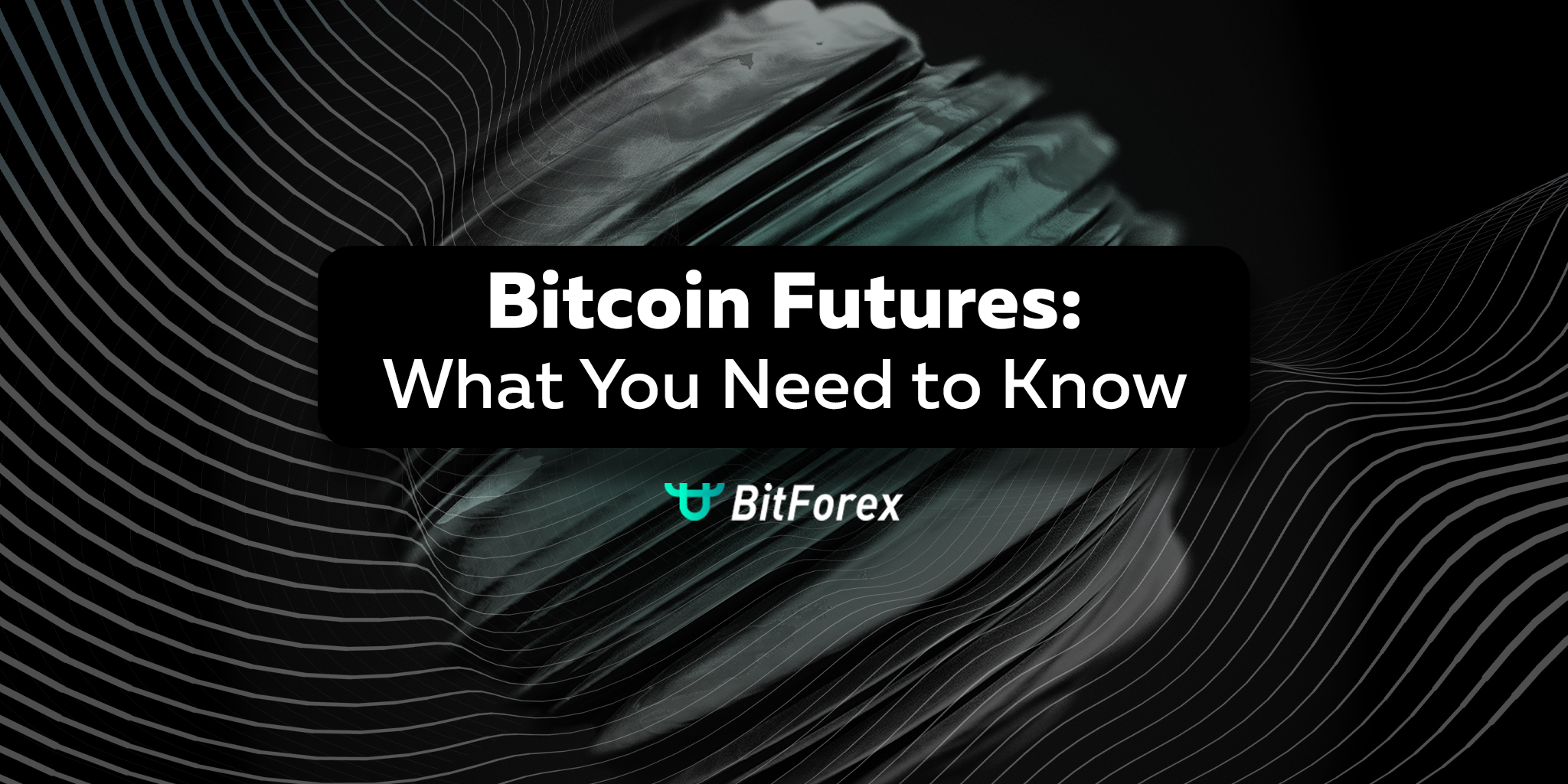 битфор (13).jpg