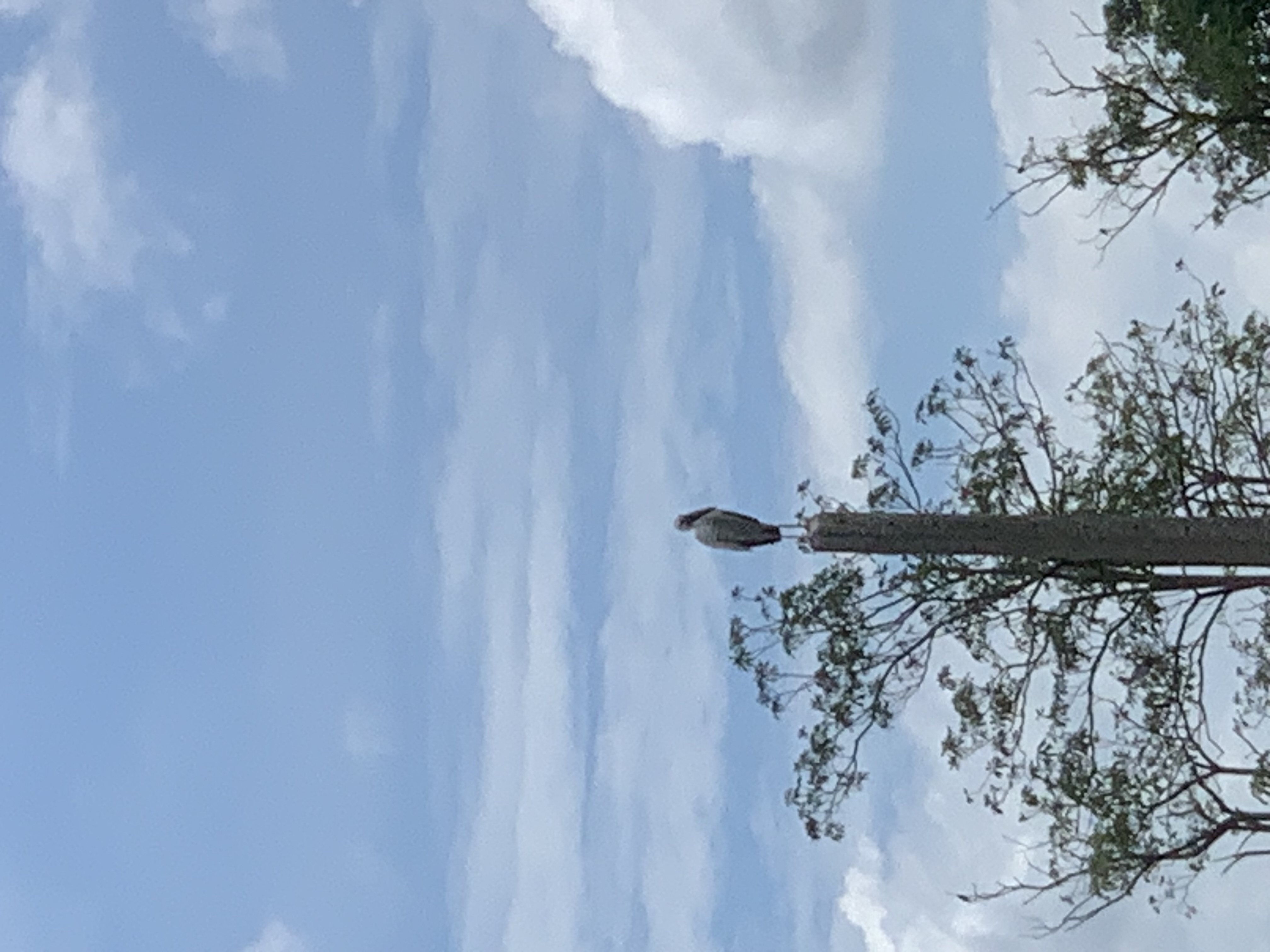 nature408.jpg