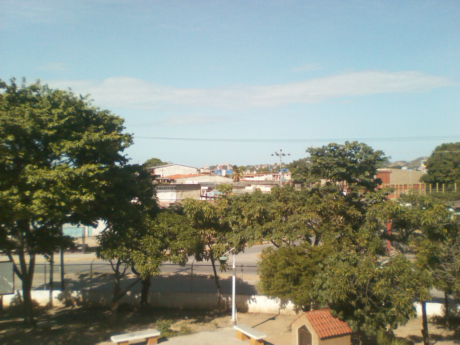IMG_20201202_145338.jpg