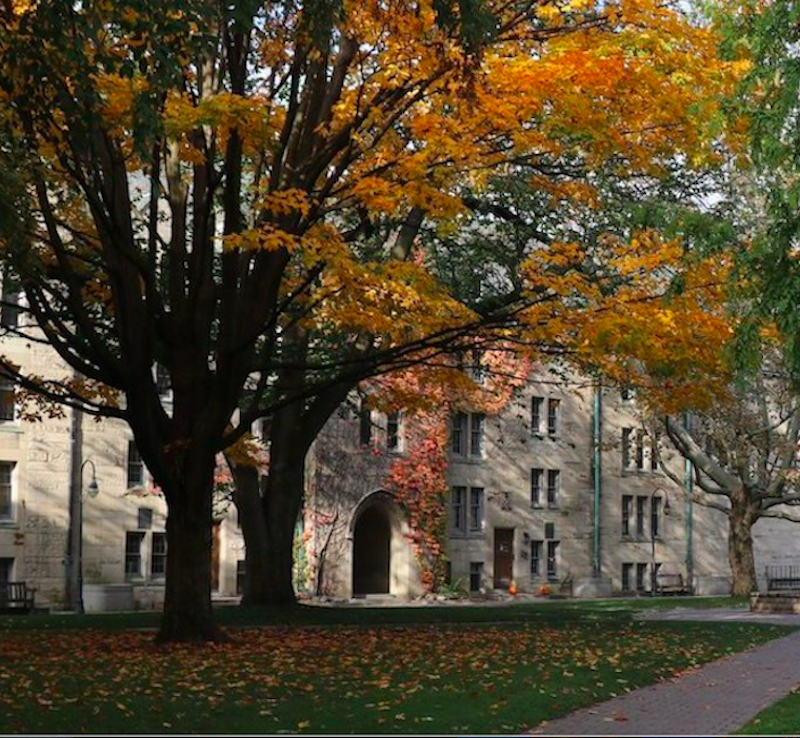 Campus 4.png