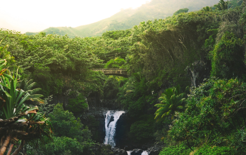 三次被打开的潘多拉魔盒