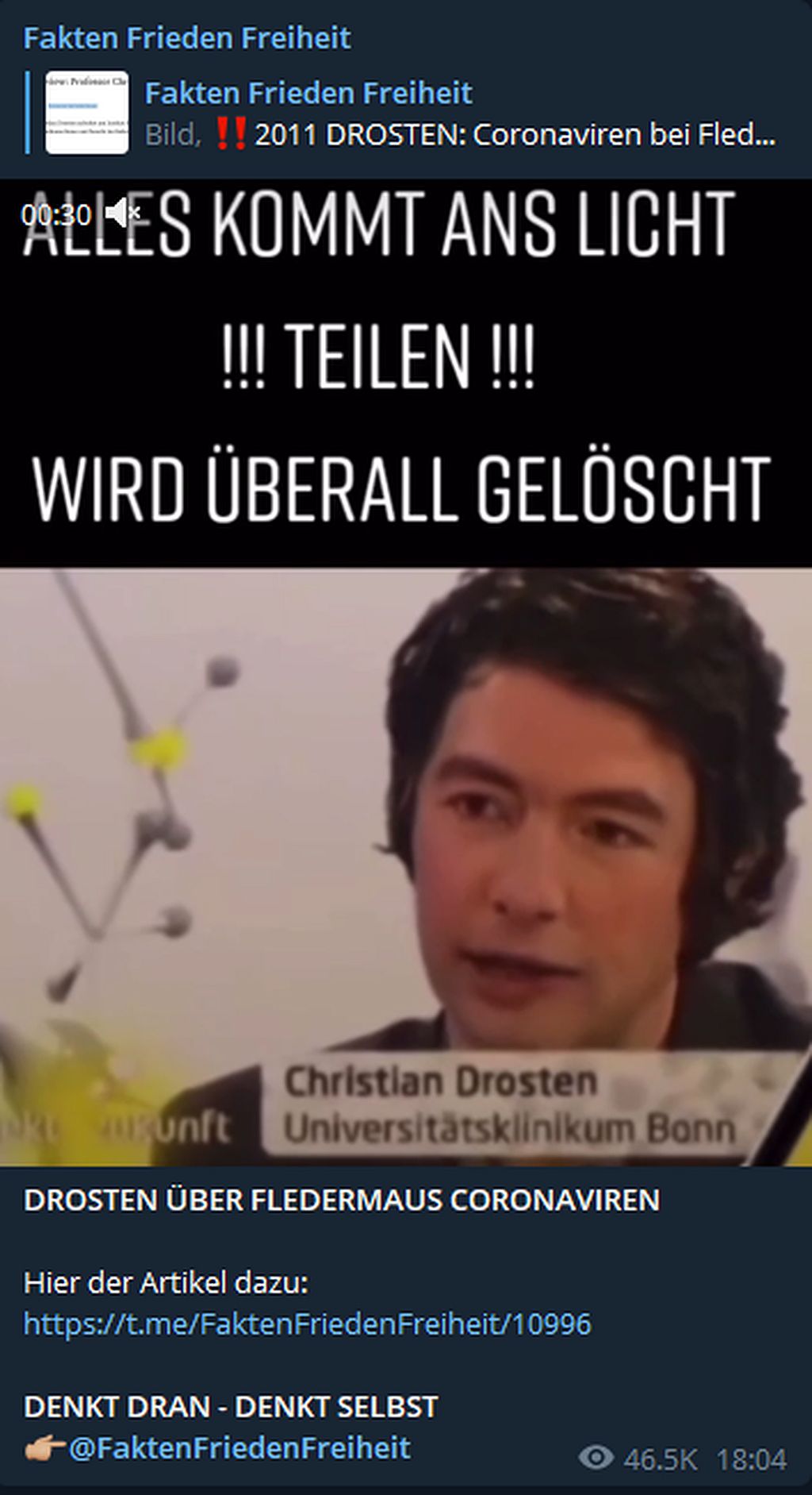 Drosten über Fledermaus Coronaviren.jpg