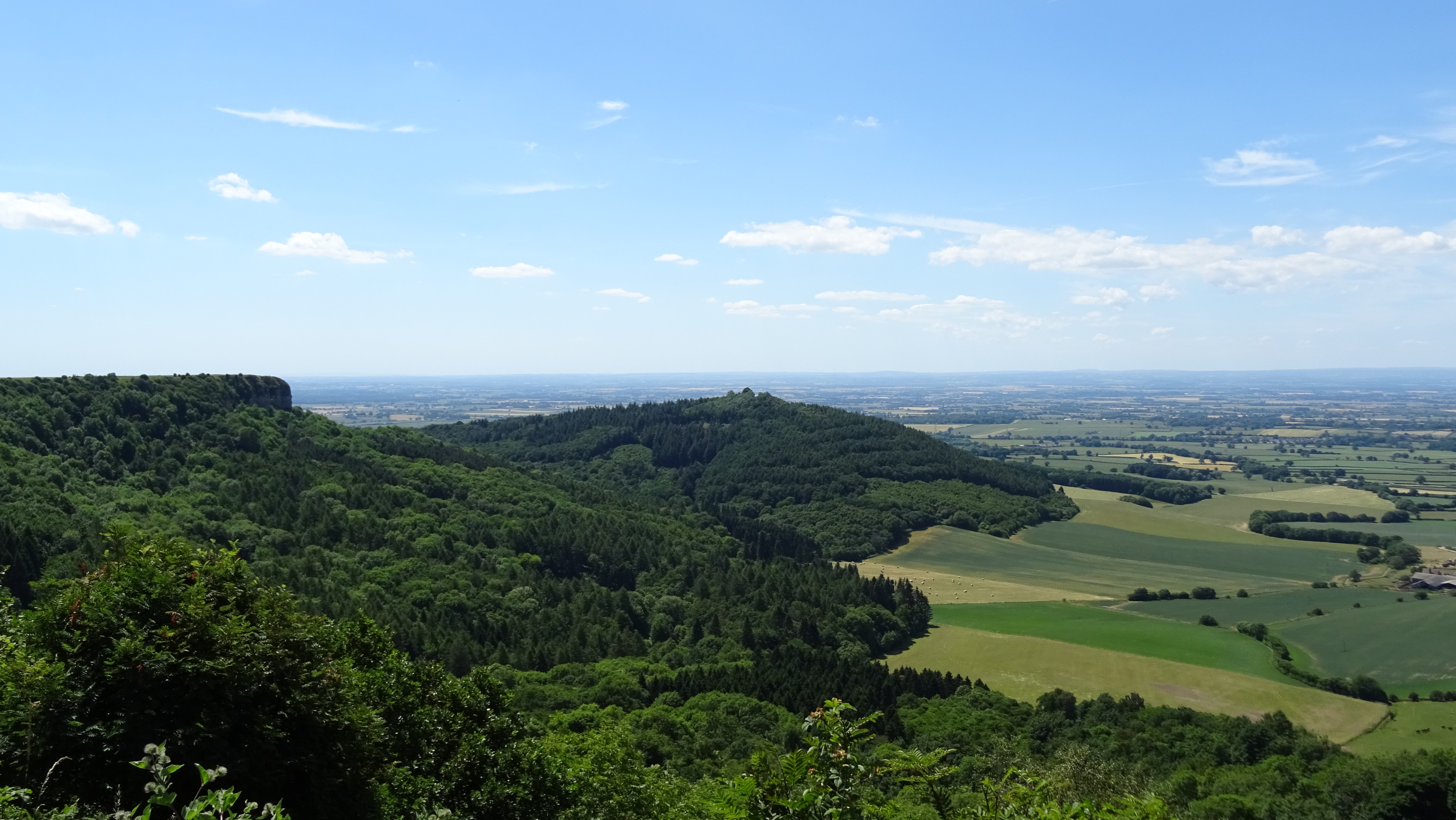 DSC00679_.jpg