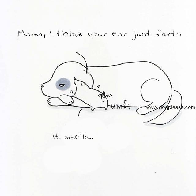 farting ear.jpg
