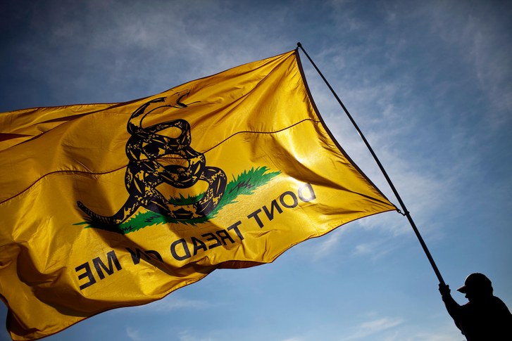 Walker-Shifting-Symbolism-Gadsden-Flag.jpg