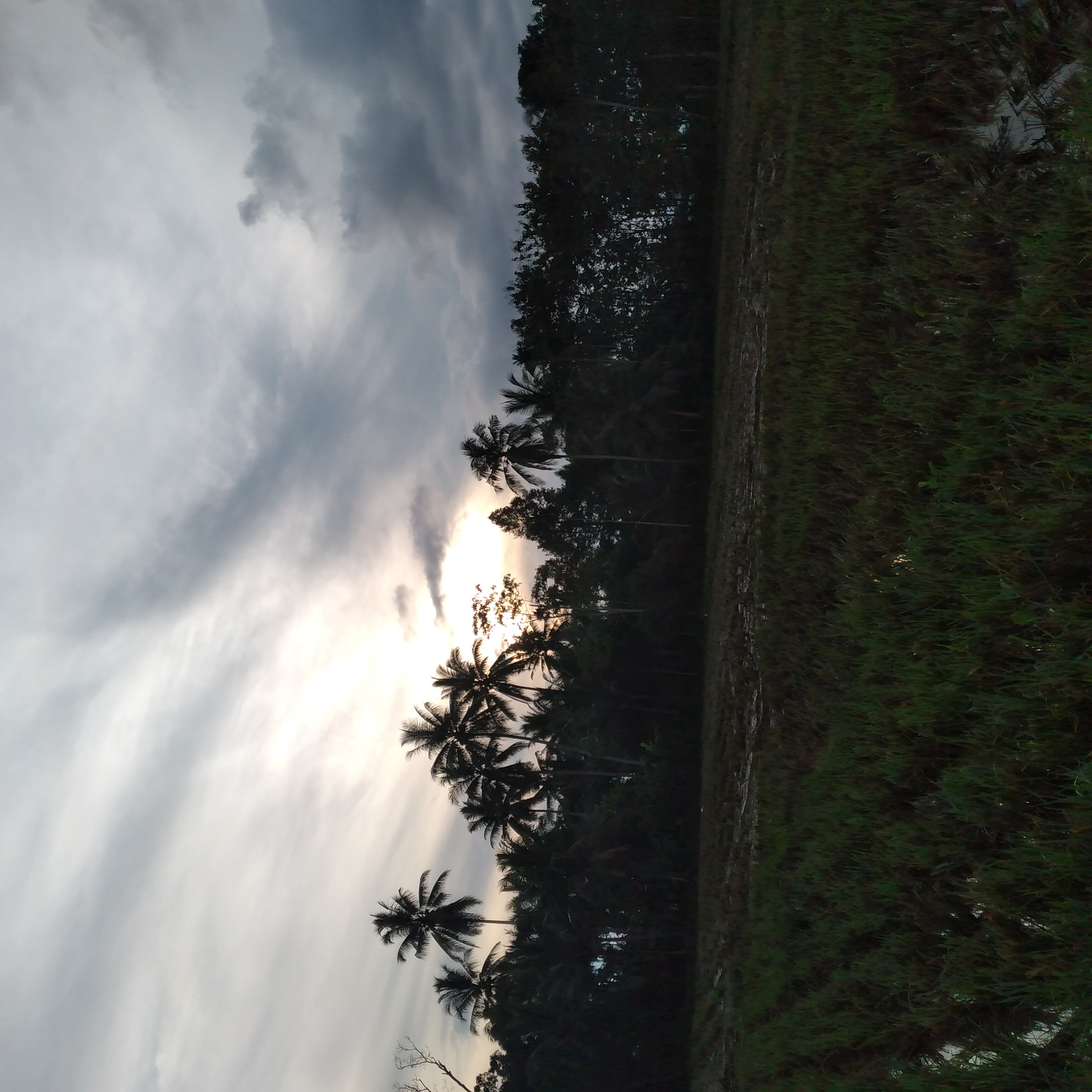 20221224_071434.jpg