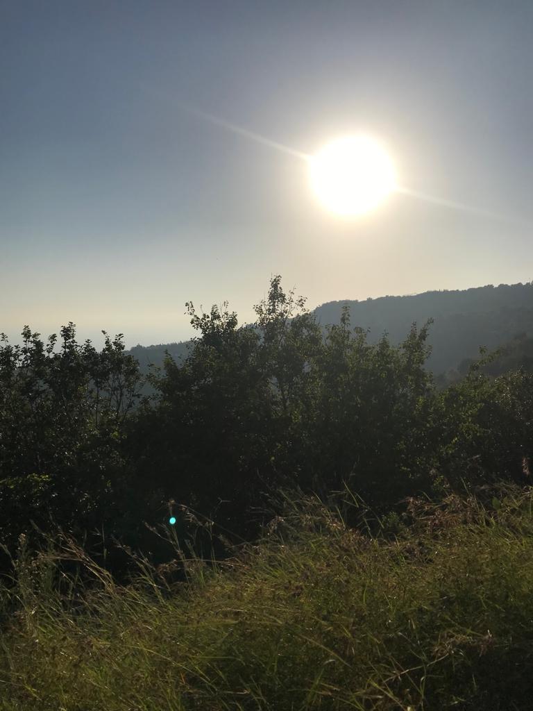 WhatsApp Image 2023-12-12 at 17.28.46 (2).jpeg