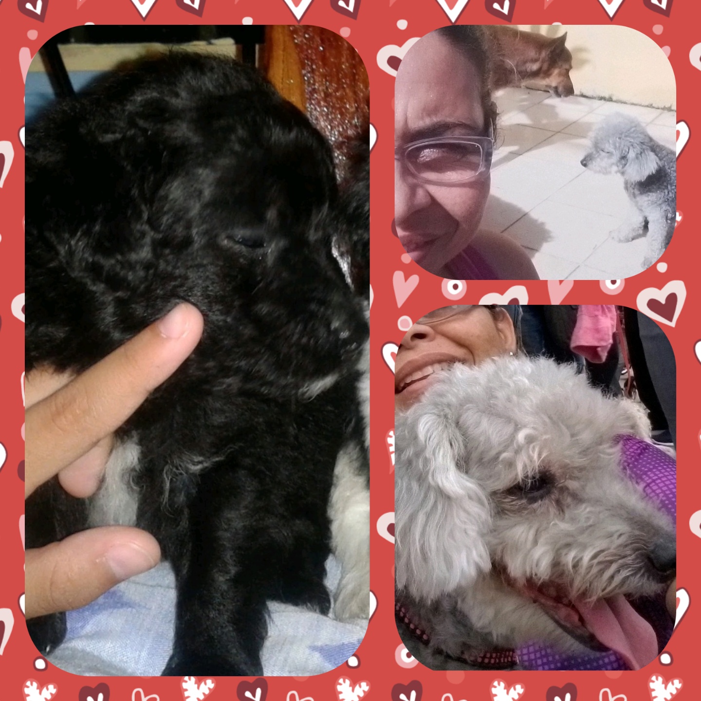 Collage Maker-13-Mar-2023-03.19-PM (1).jpg