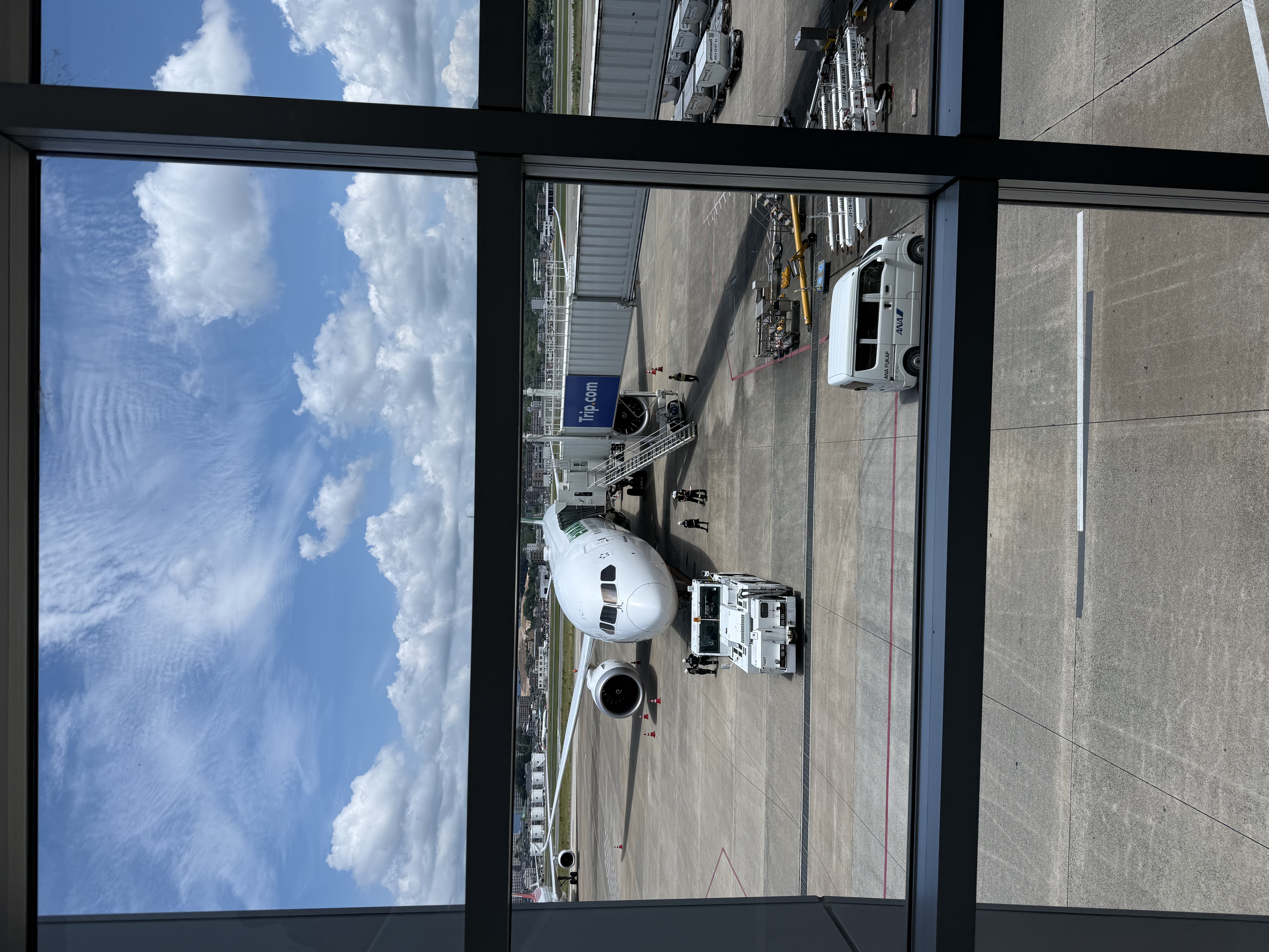 IMG_3380.jpeg
