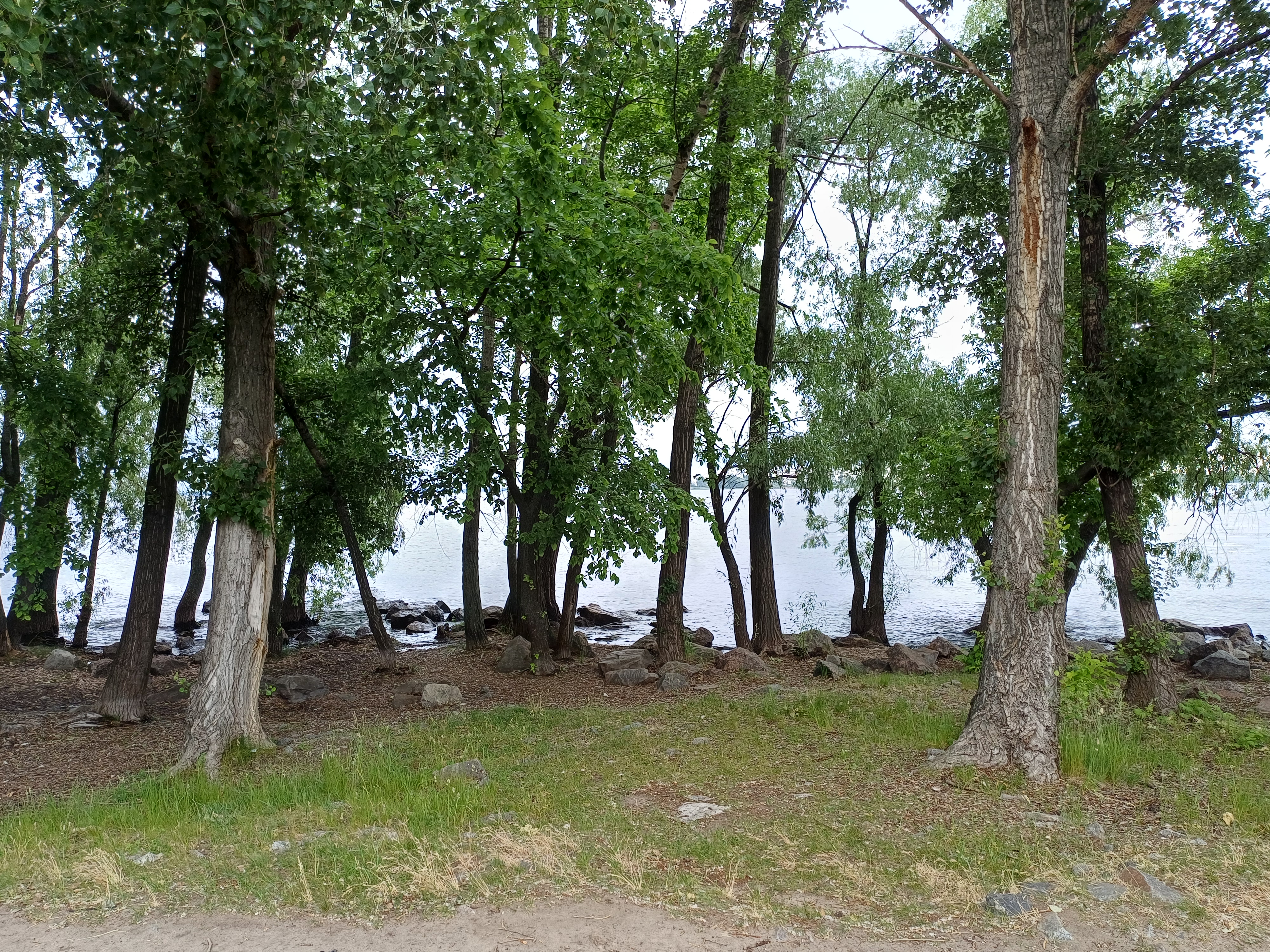 20260608_084540.jpg