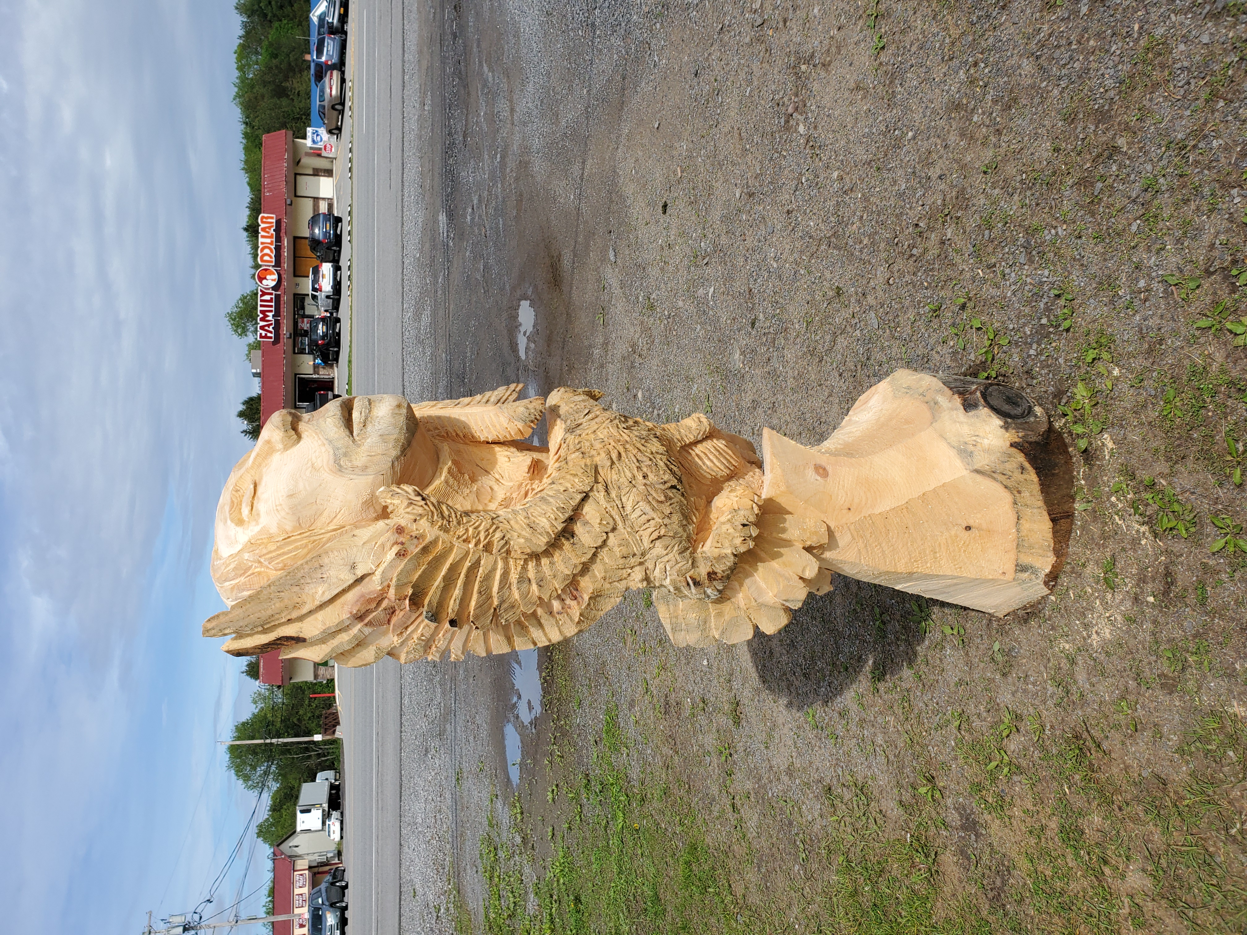 20190529_154043.jpg