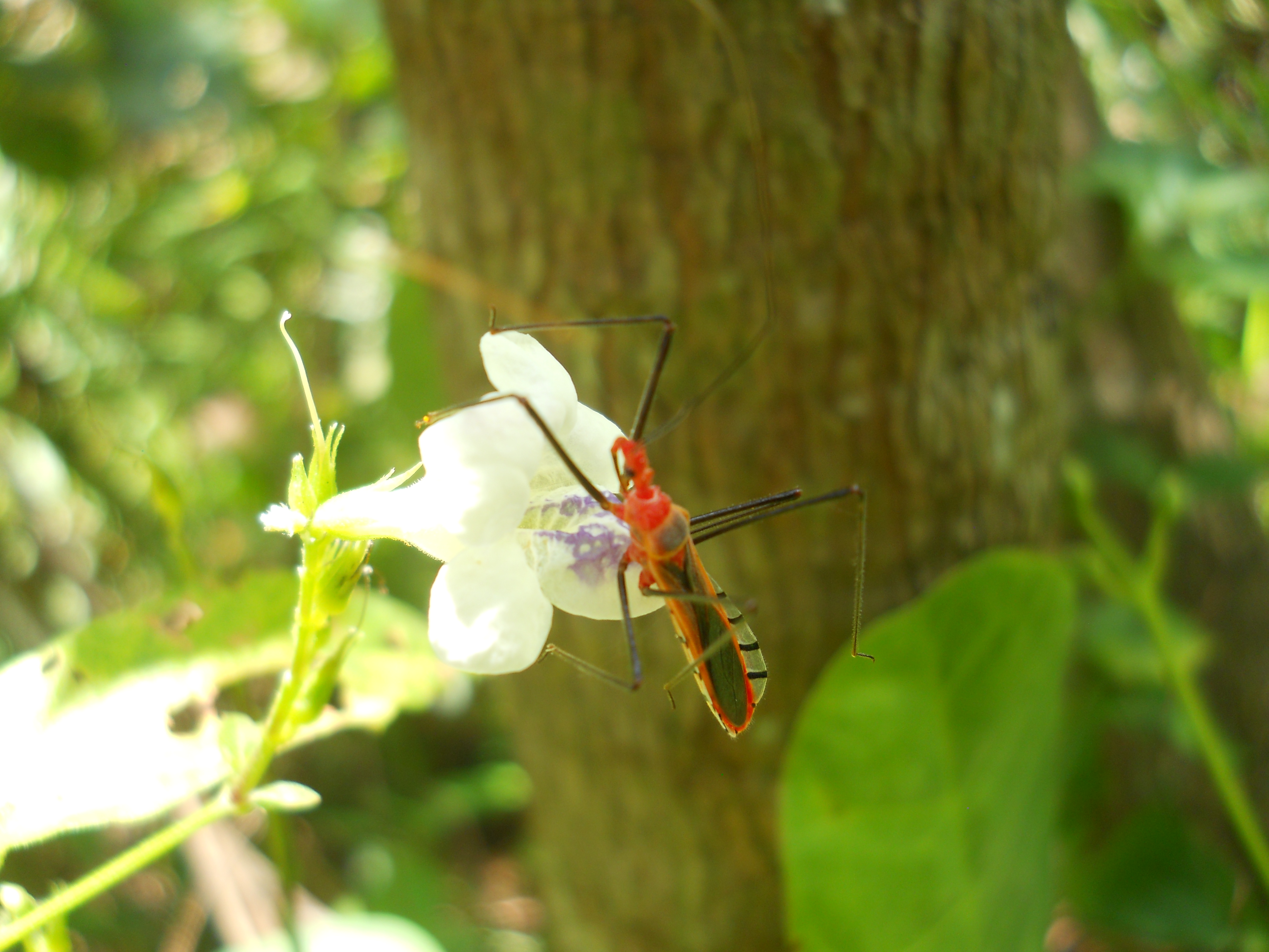 DSCN2796.JPG