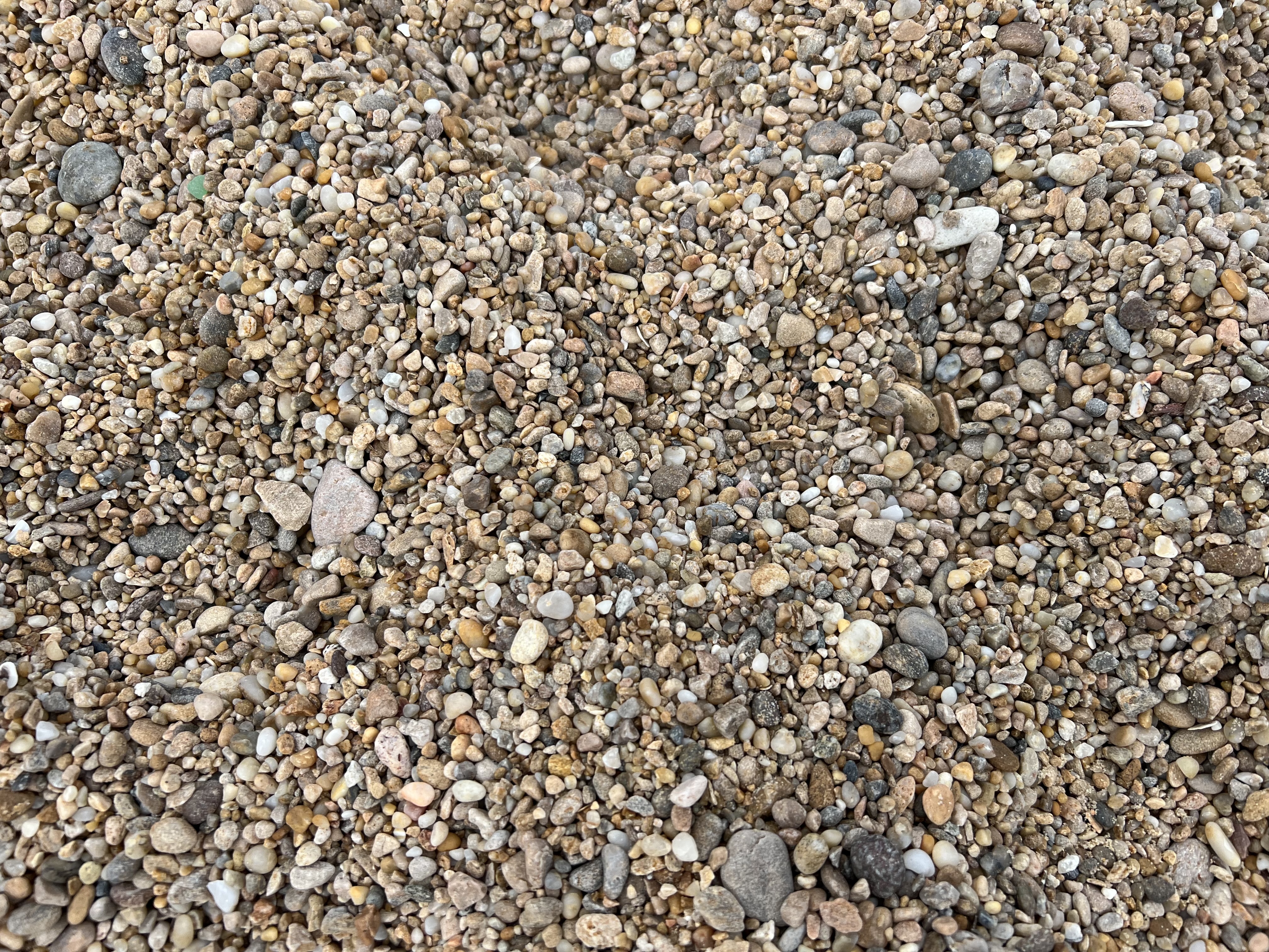 IMG_5408.jpeg