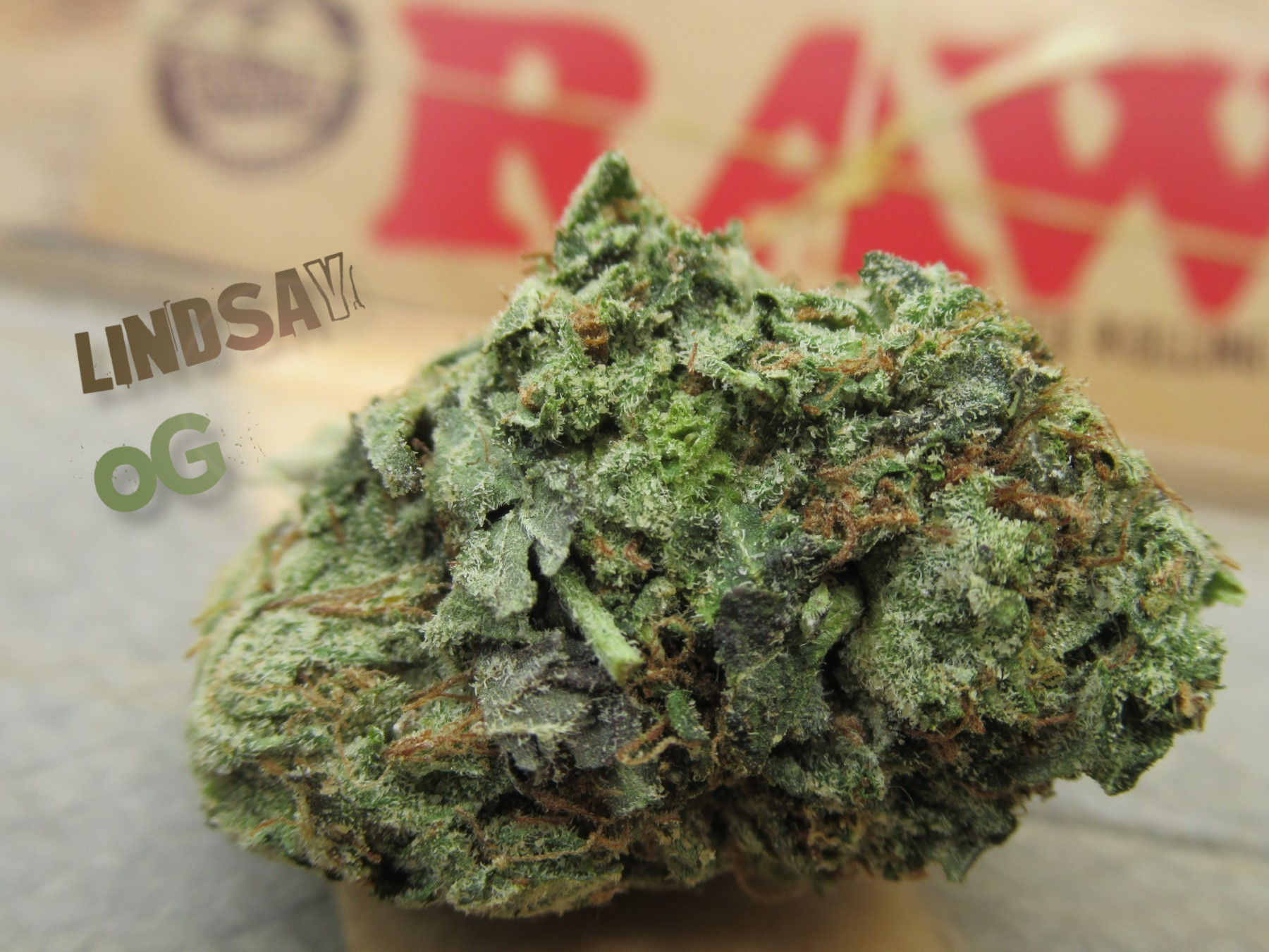 fullnugsidepack.jpg