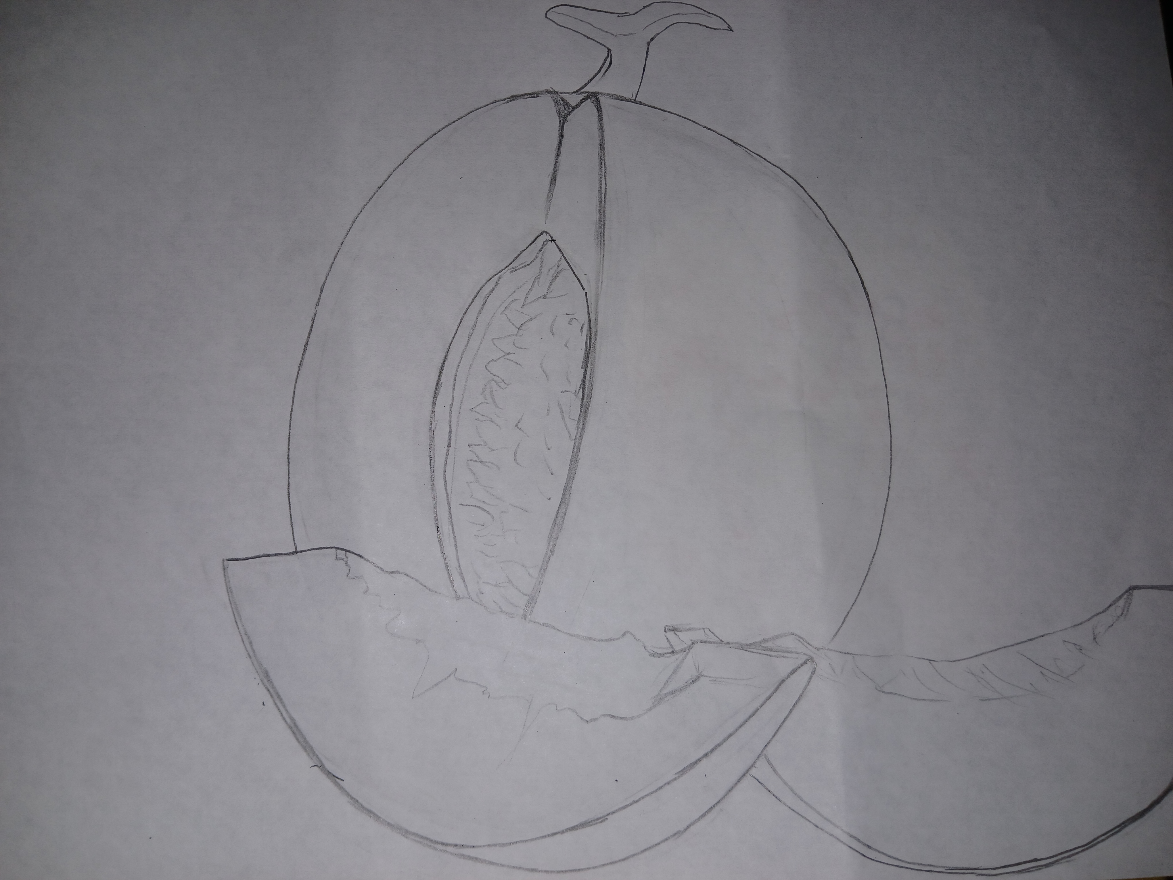 20250324_001211.jpg