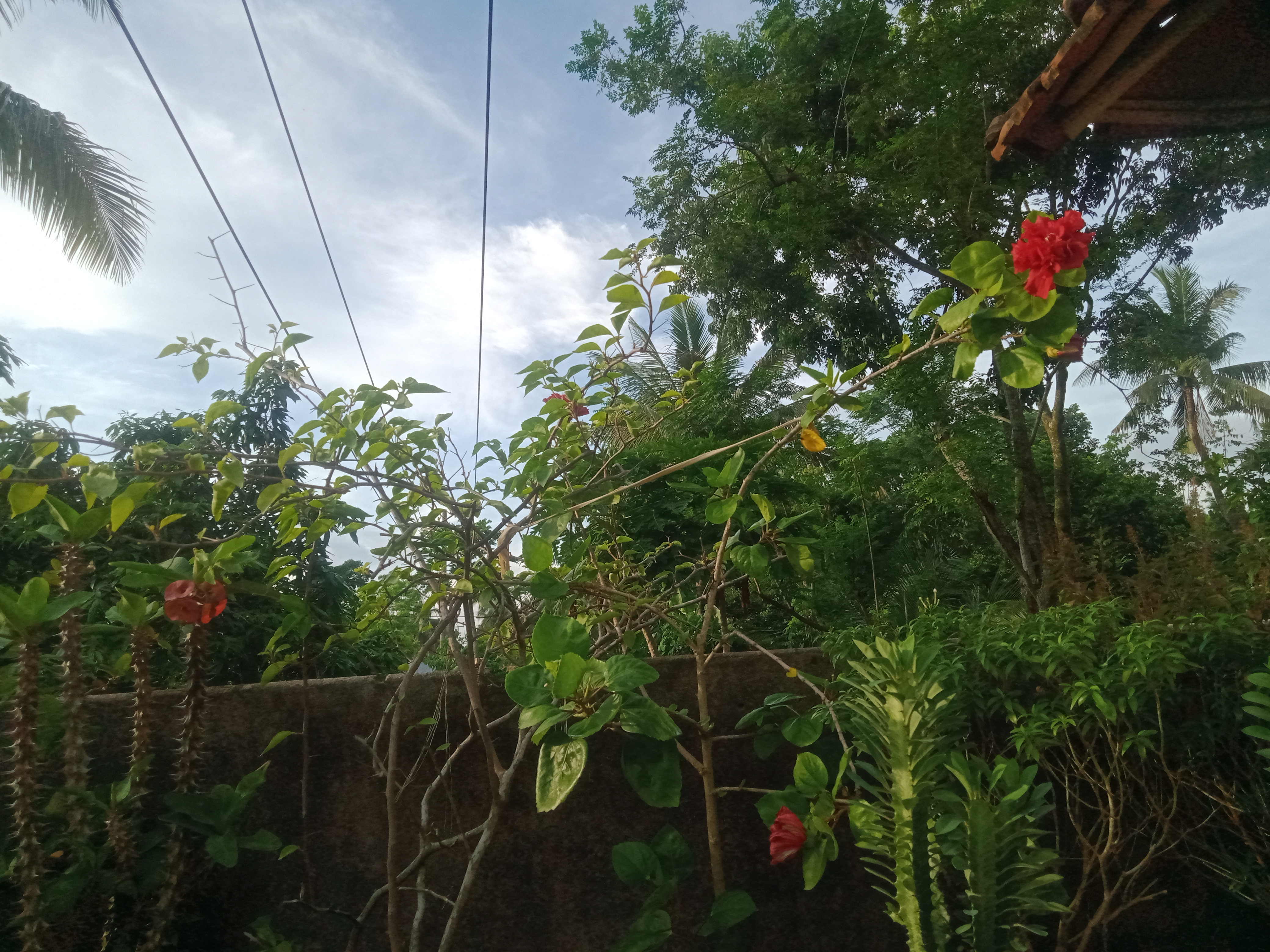 IMG20240627173823.jpg