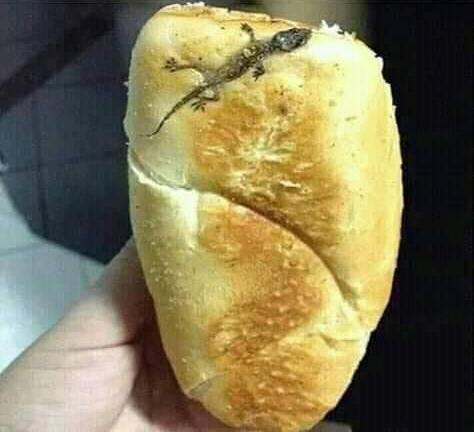 mi pan.jpg