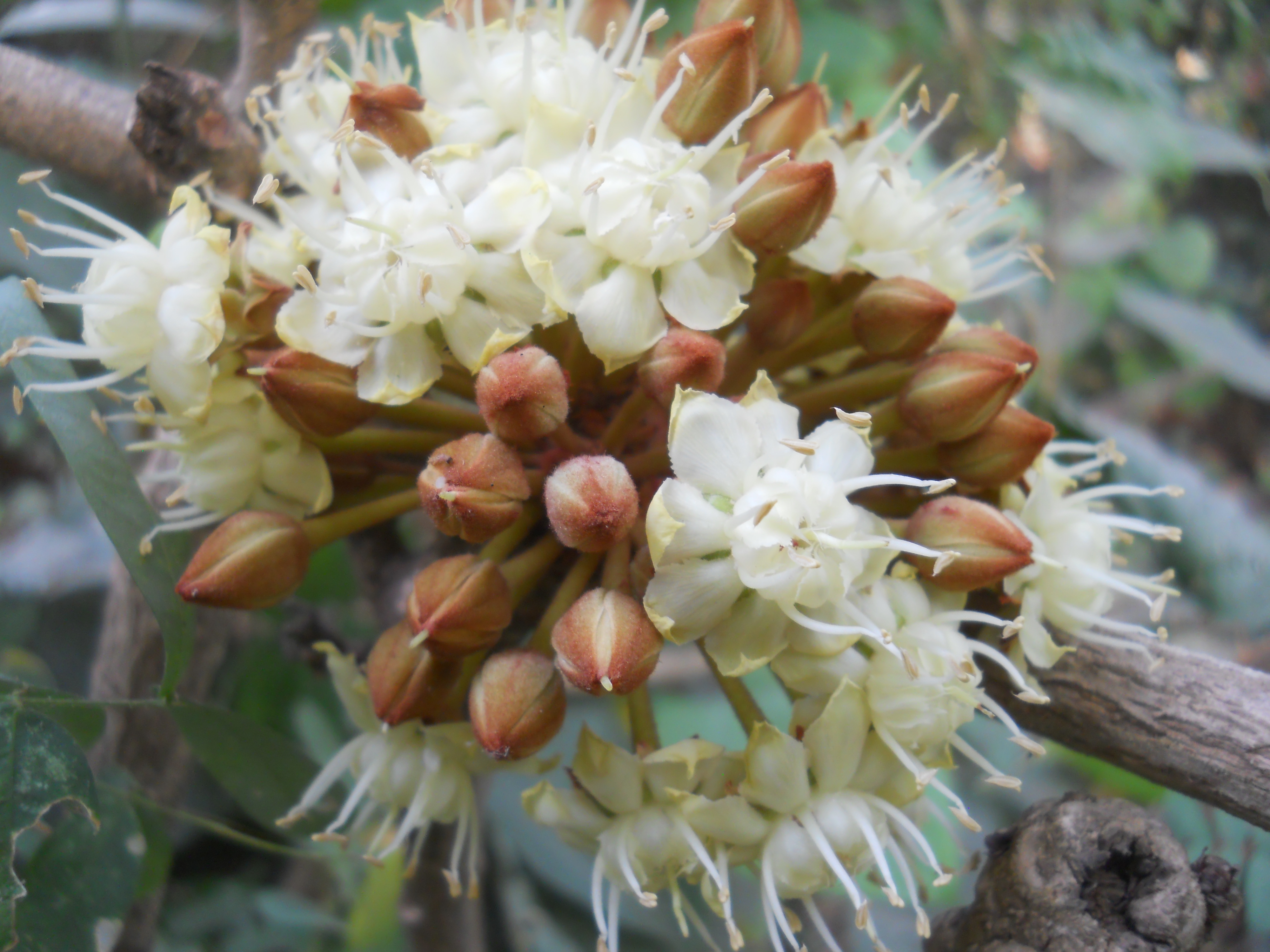 DSCN5319.JPG