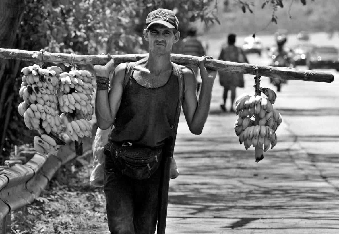 agricultor.jpg