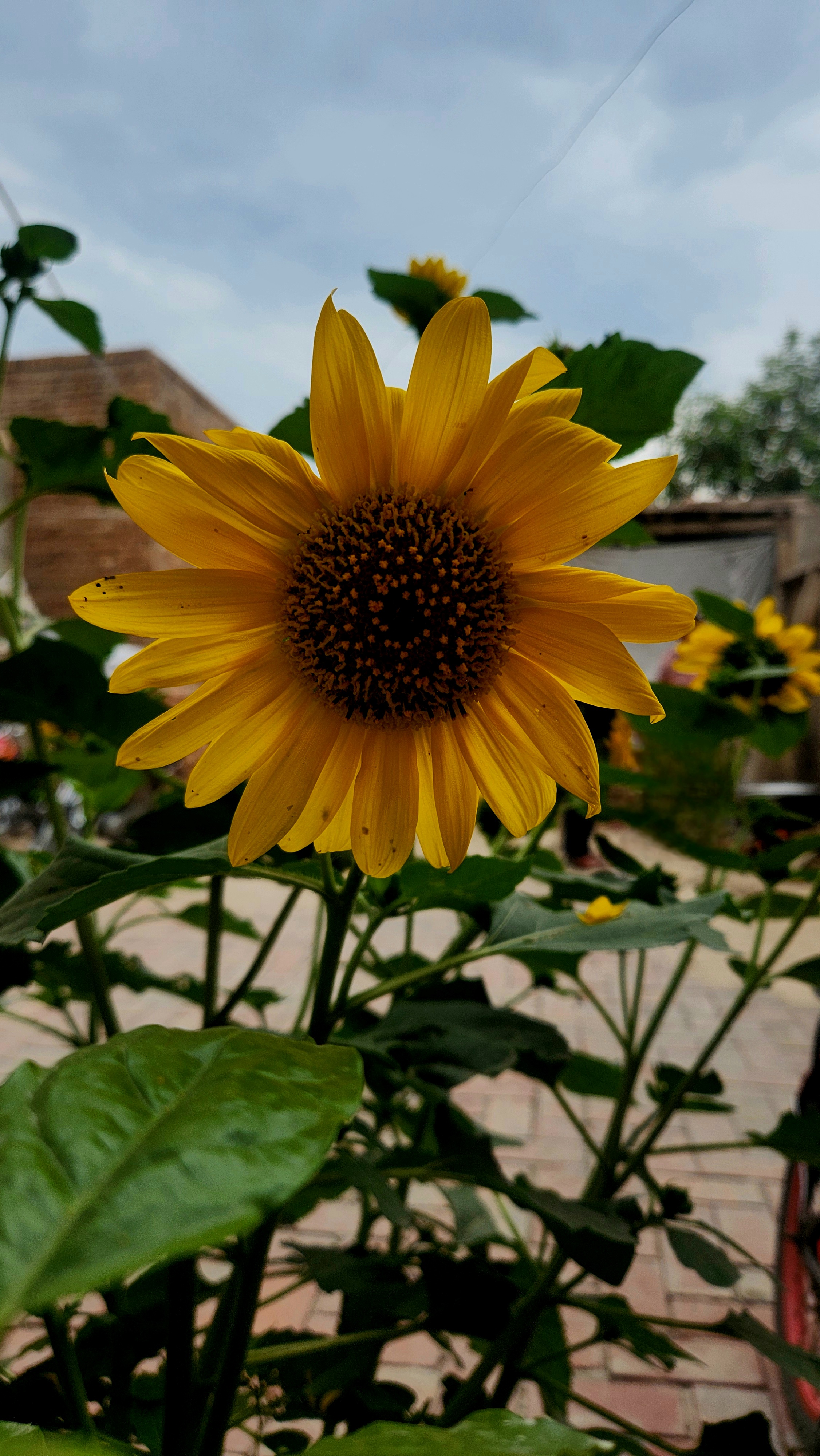 81280.jpg
