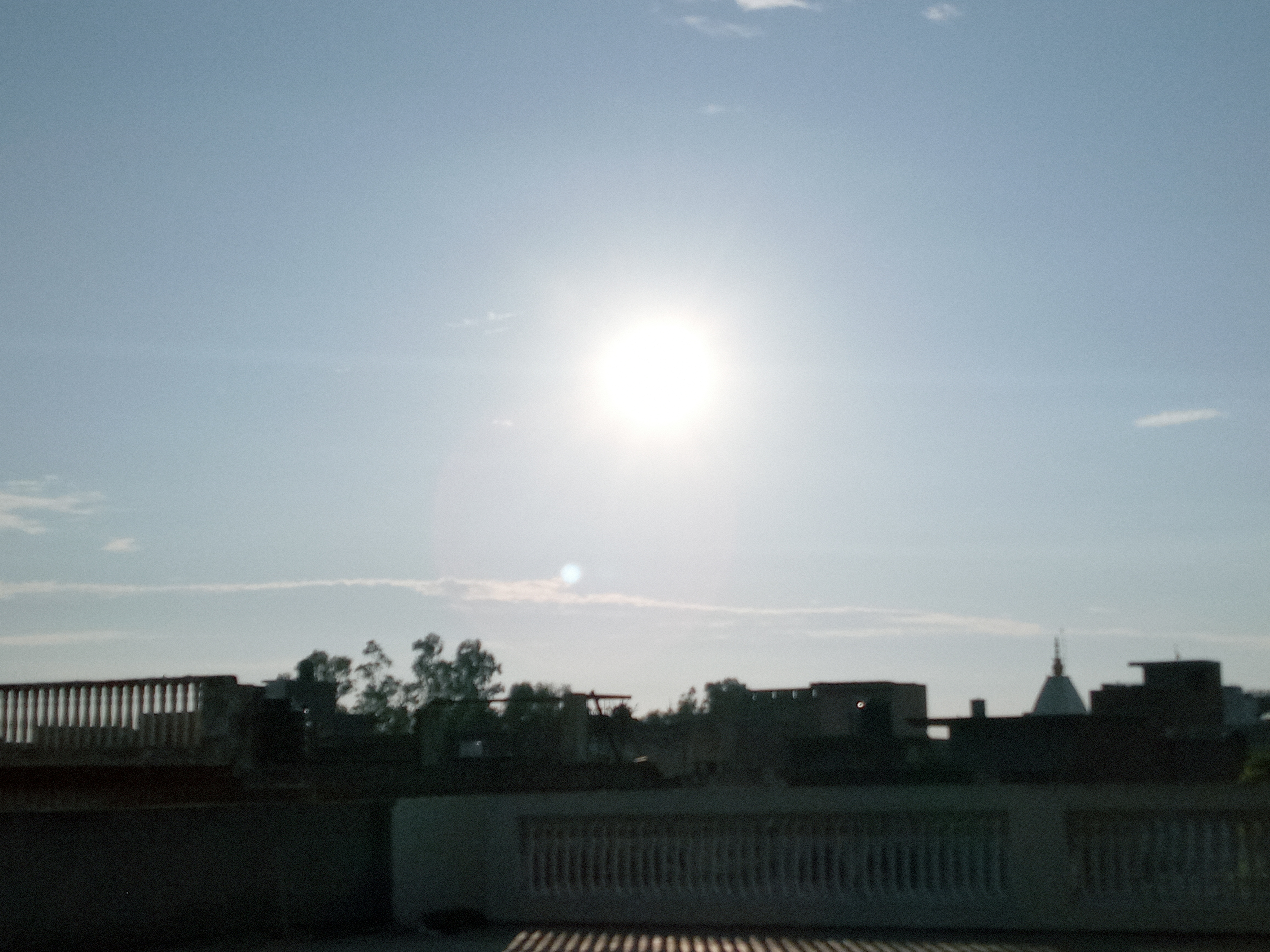 20210908_065814.jpg